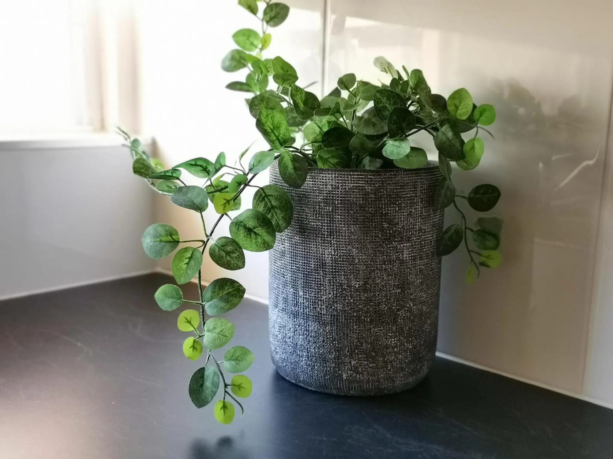 Food in Palm Waters Holiday Villas