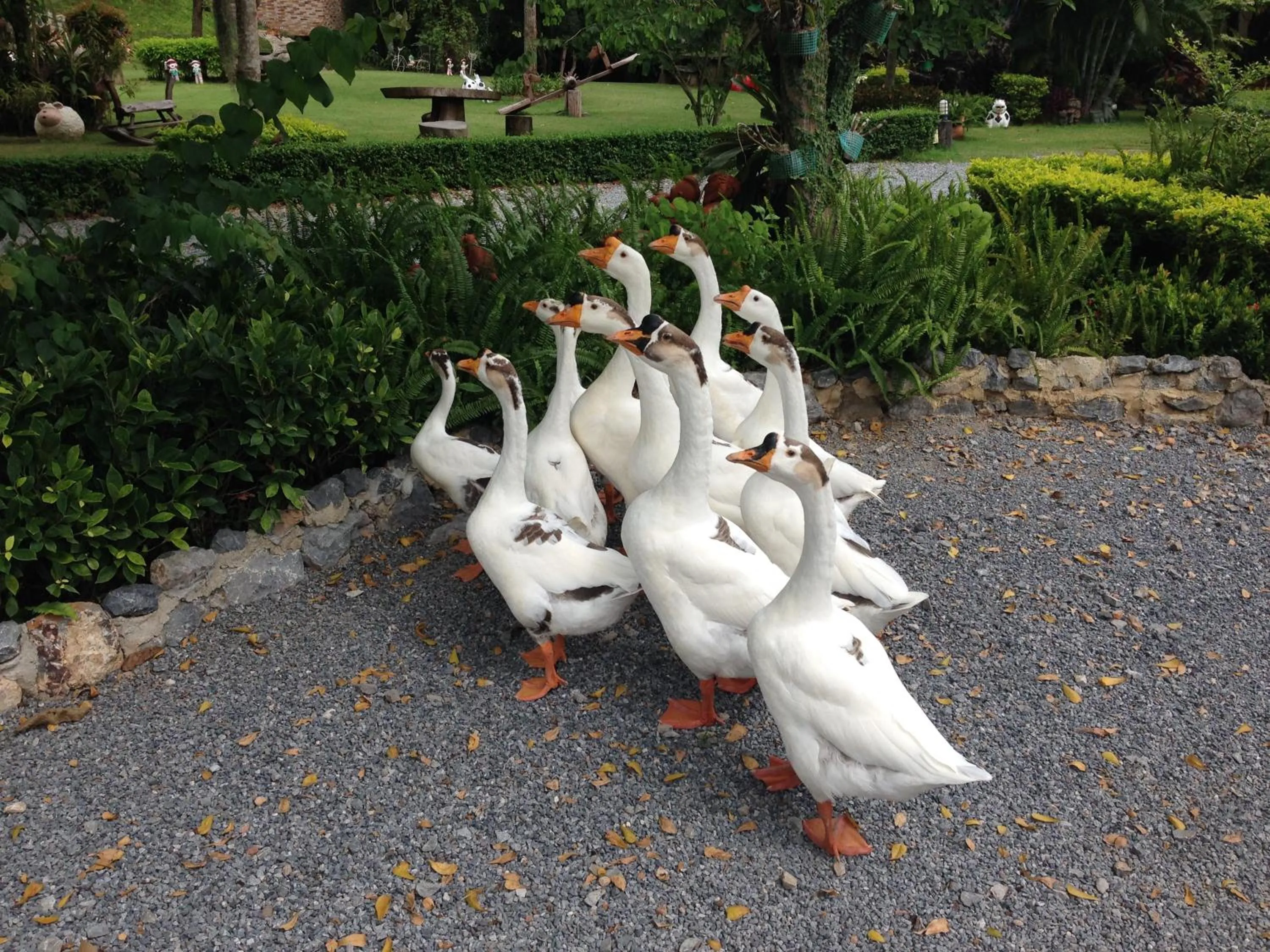 Day in Watermill Resort