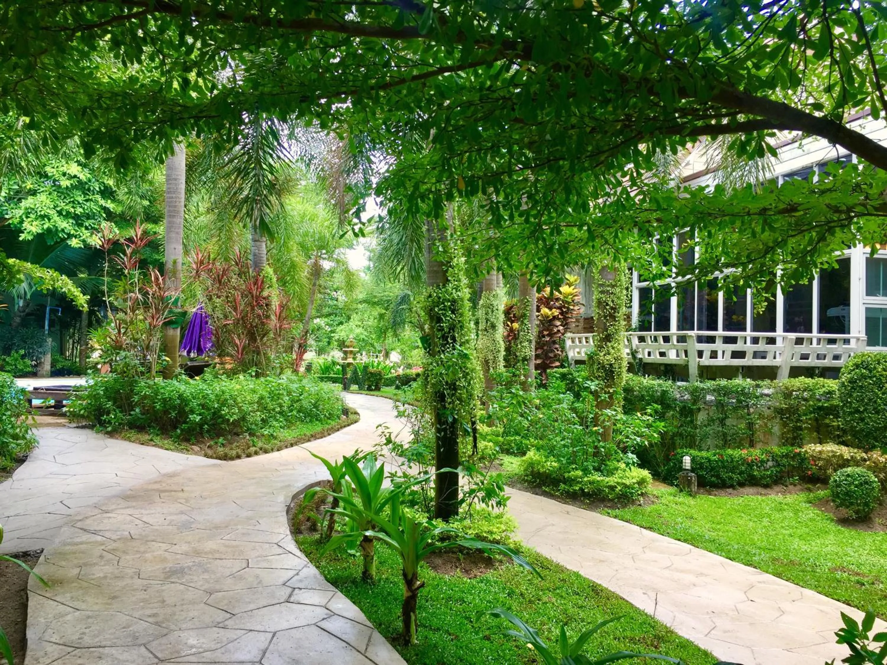 Natural landscape in Watermill Resort