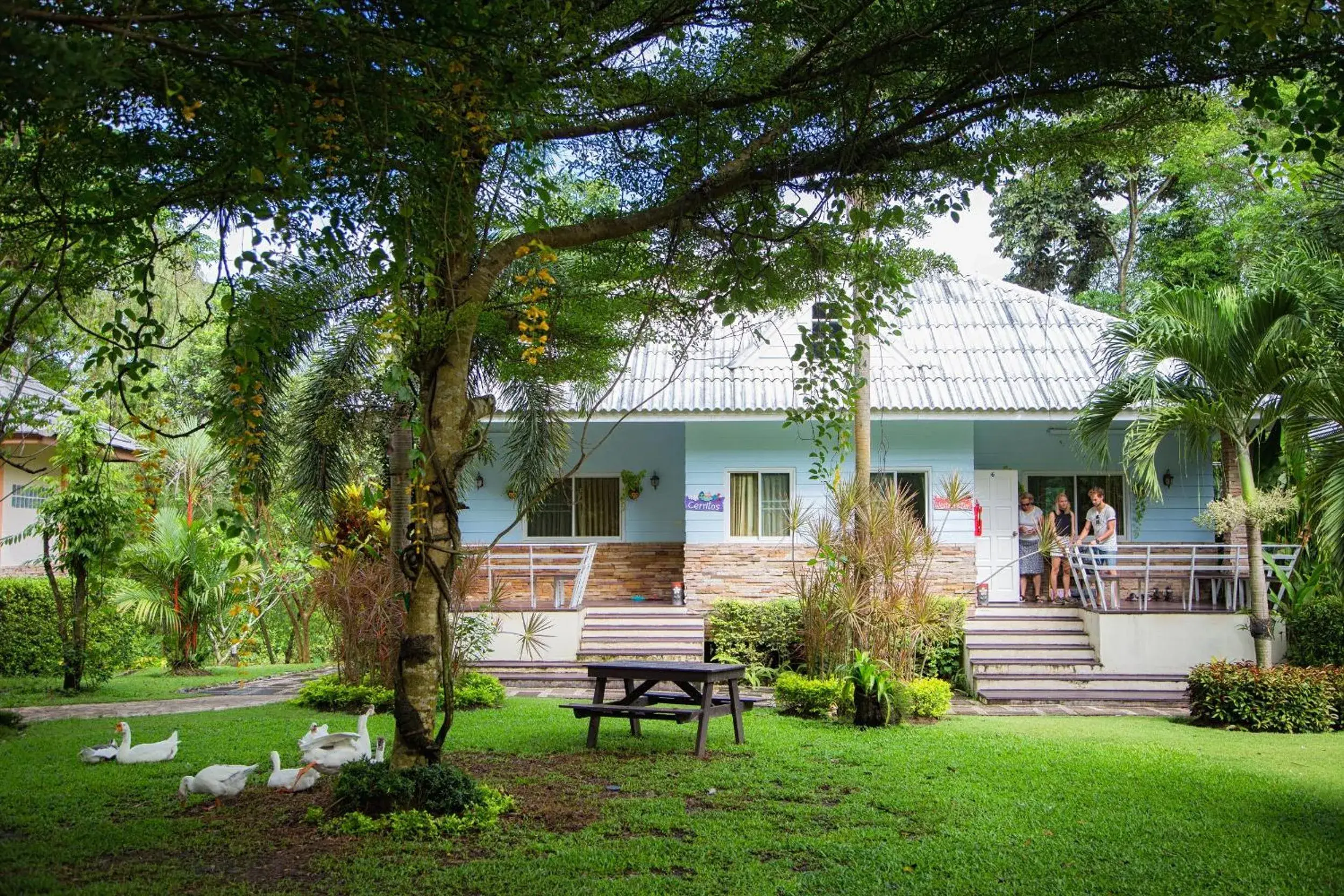 Watermill Resort Watermill Resort