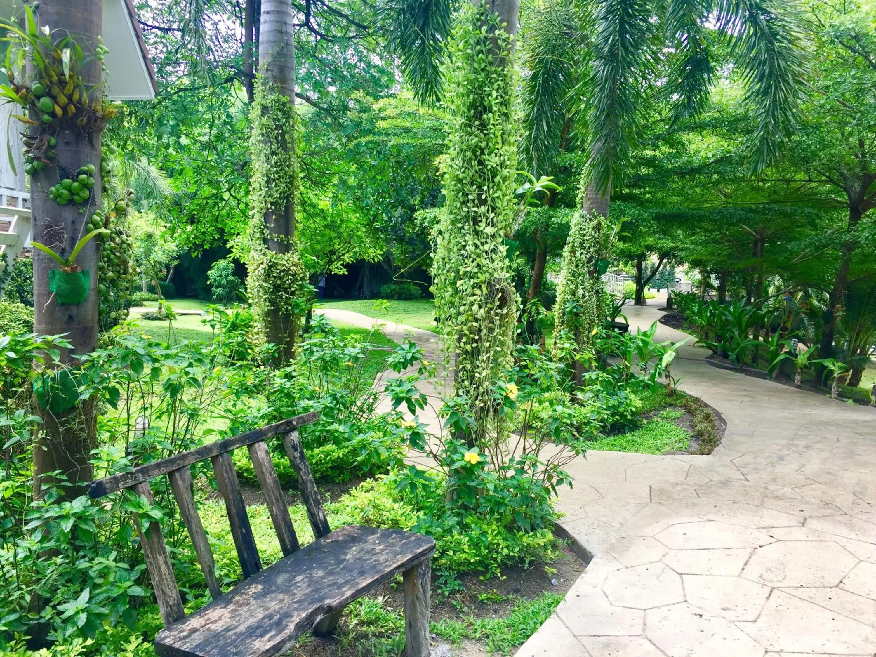 Garden in Watermill Resort
