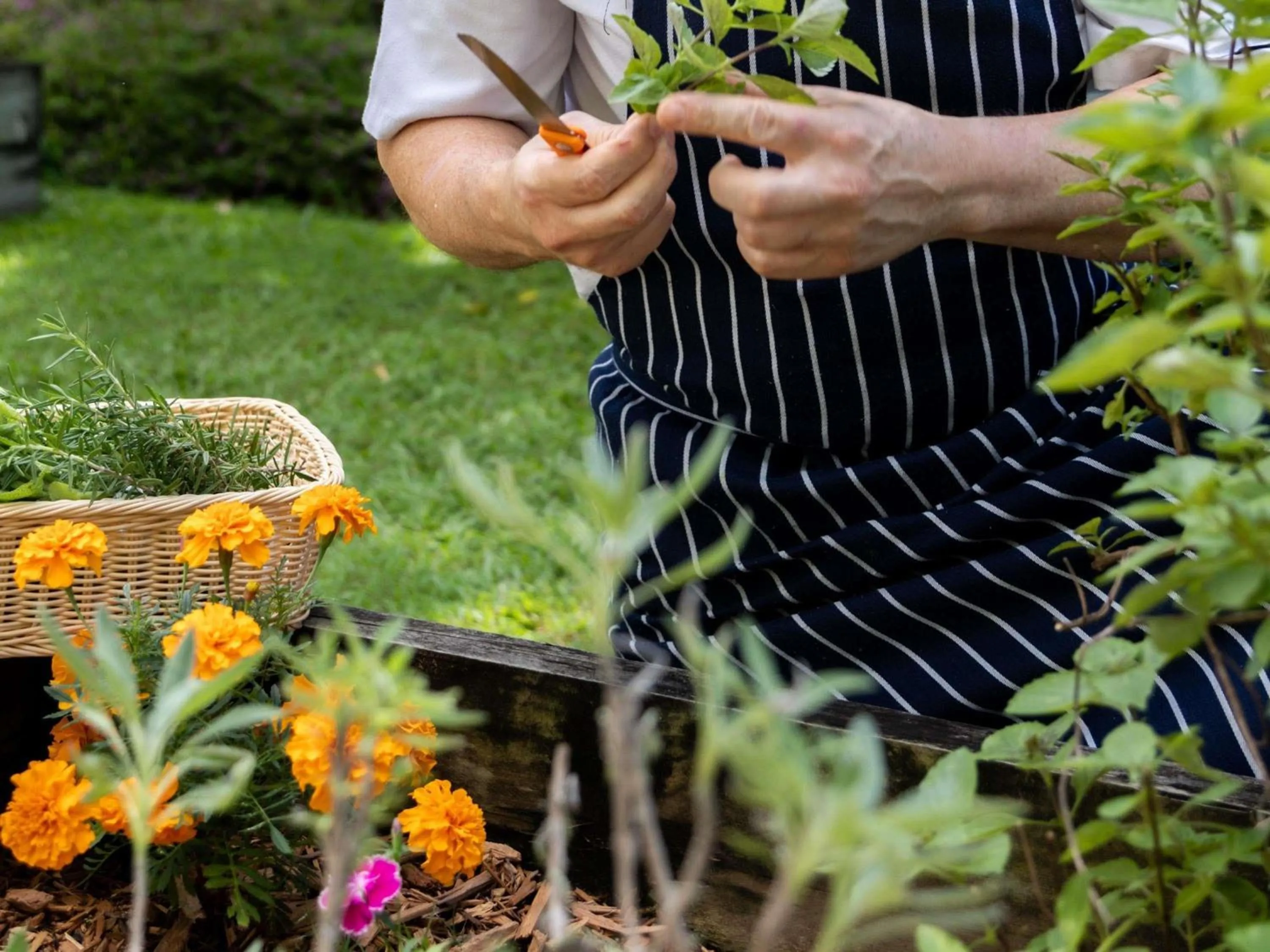 Restaurant/places to eat in Mercure Gold Coast Resort