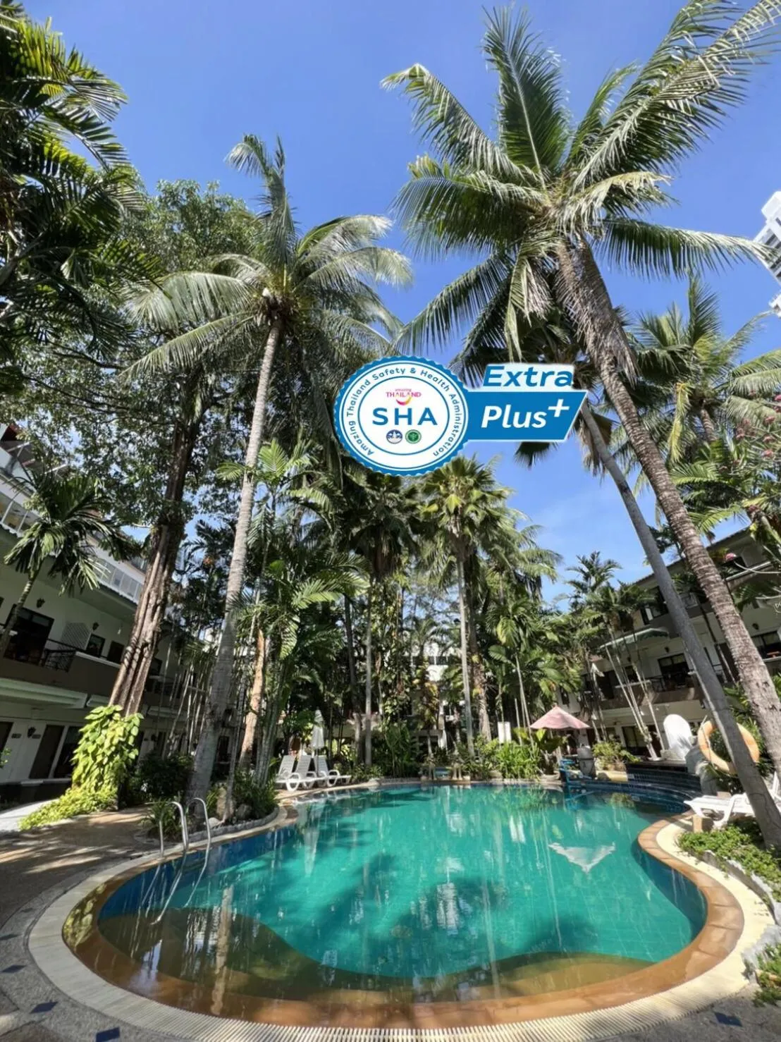 Pool view in The Viridian Resort Patong