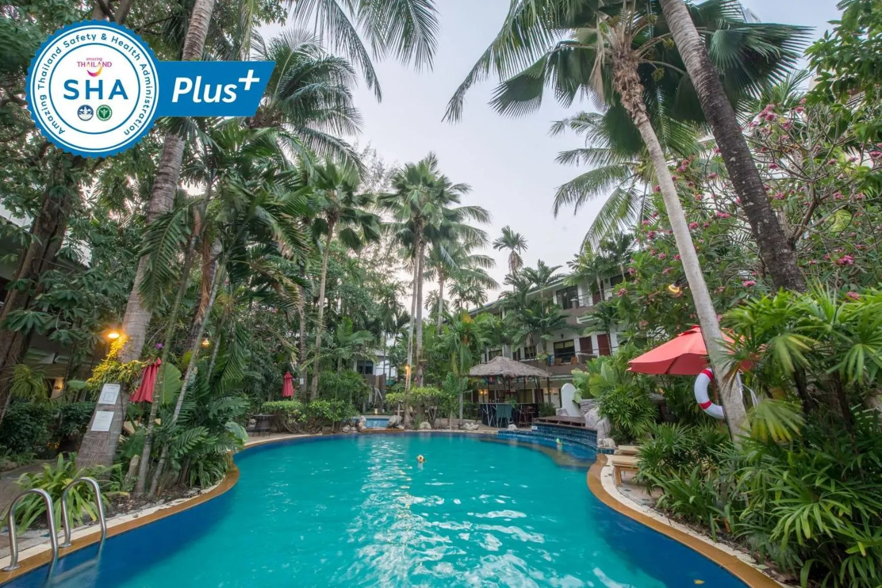 Swimming pool in The Viridian Resort Patong