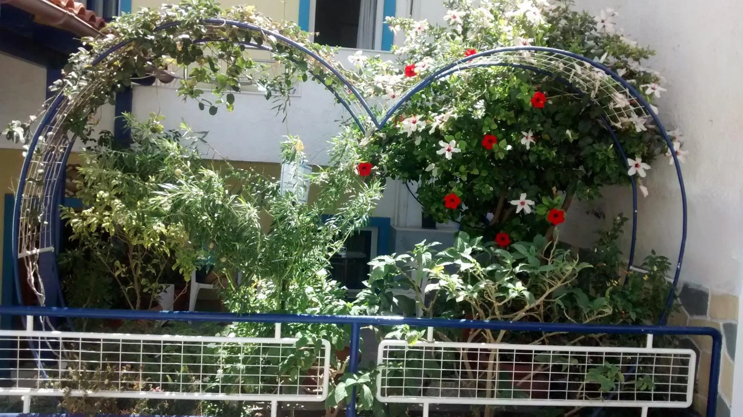 Garden in Apollonia Apartments