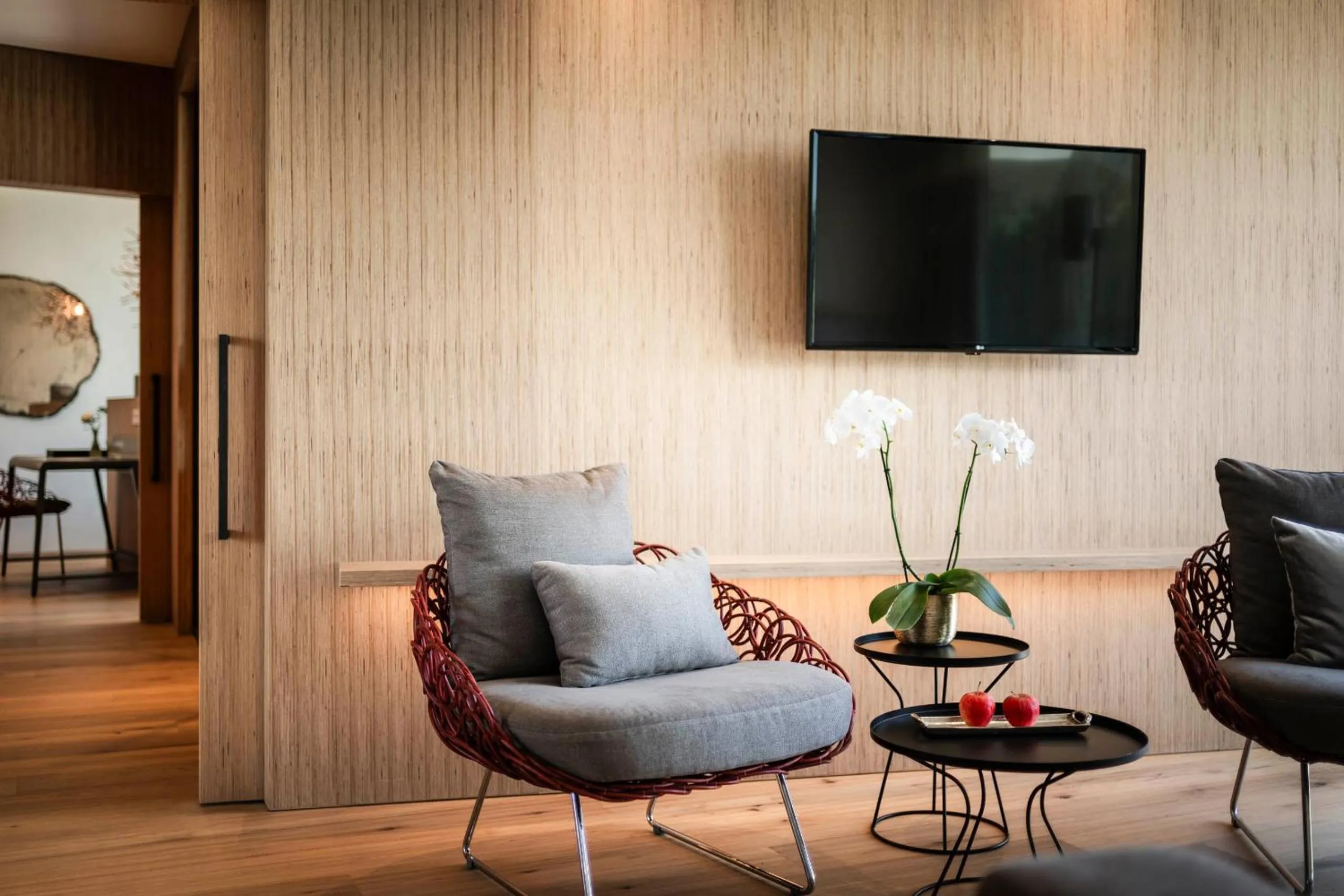 TV and multimedia in Hotel Mitterplatt (Schenna Resort)