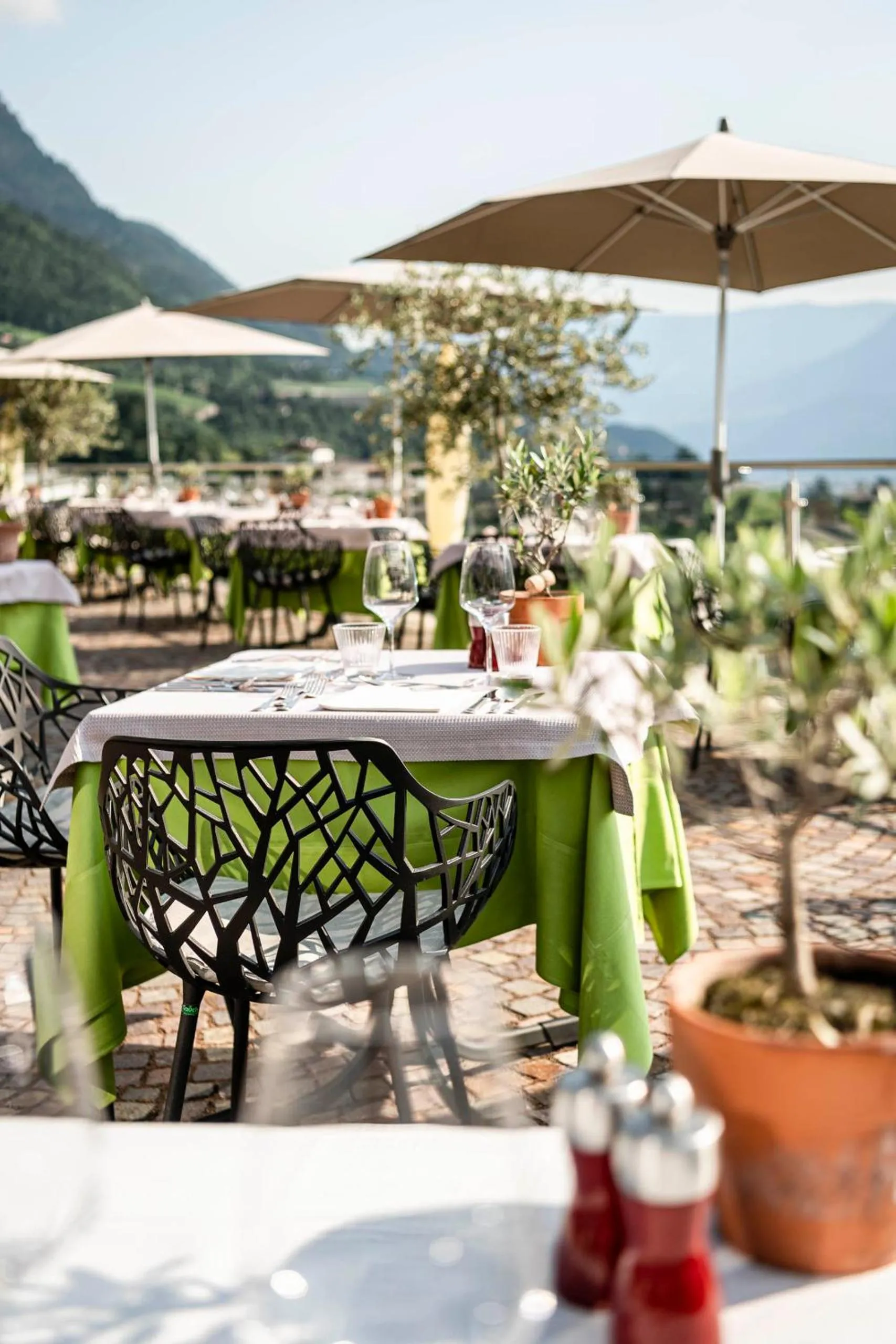 Balcony/Terrace in Hotel Mitterplatt (Schenna Resort)
