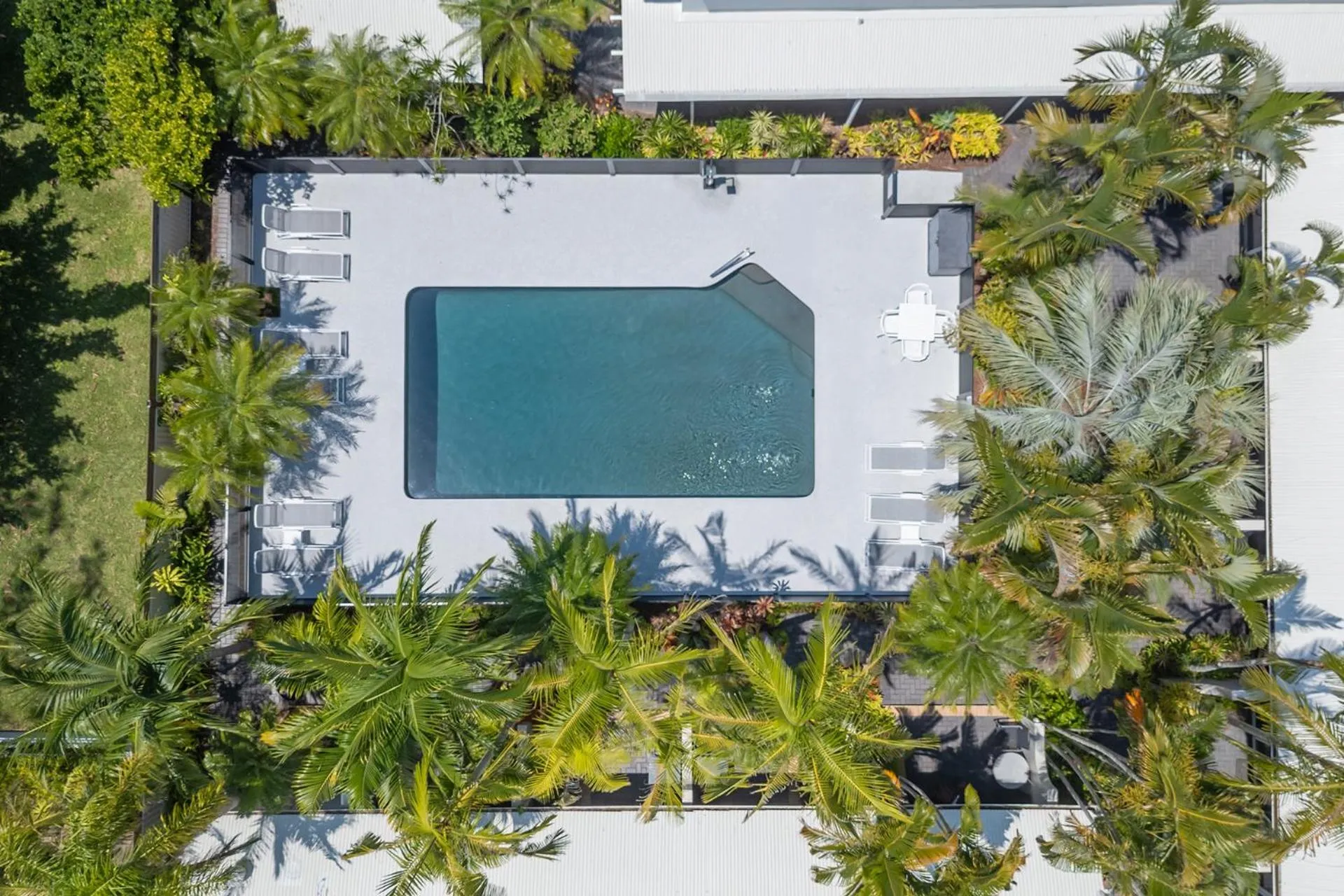 Swimming pool in Caribbean Noosa