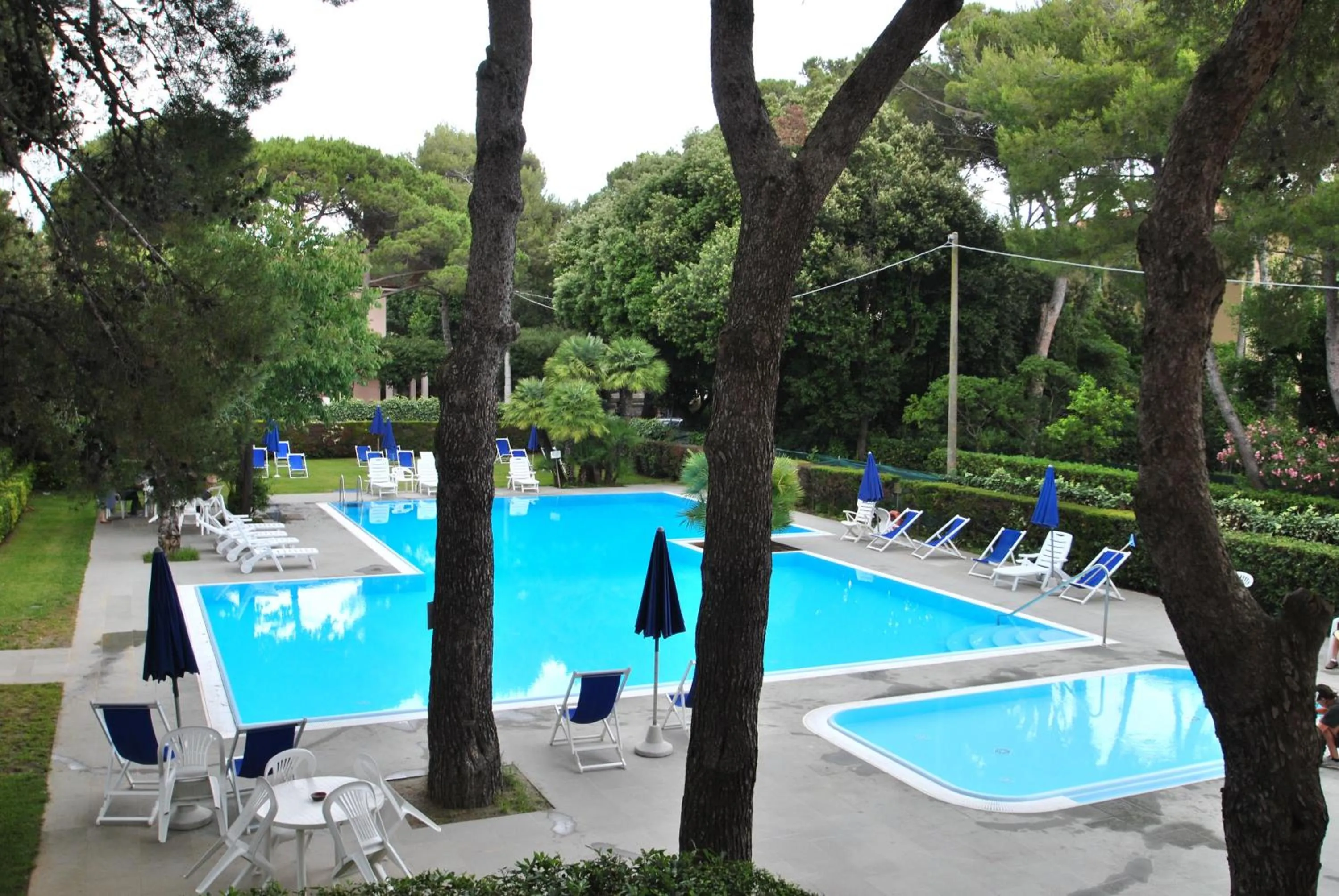 Swimming pool in Fattoria Nel Parco