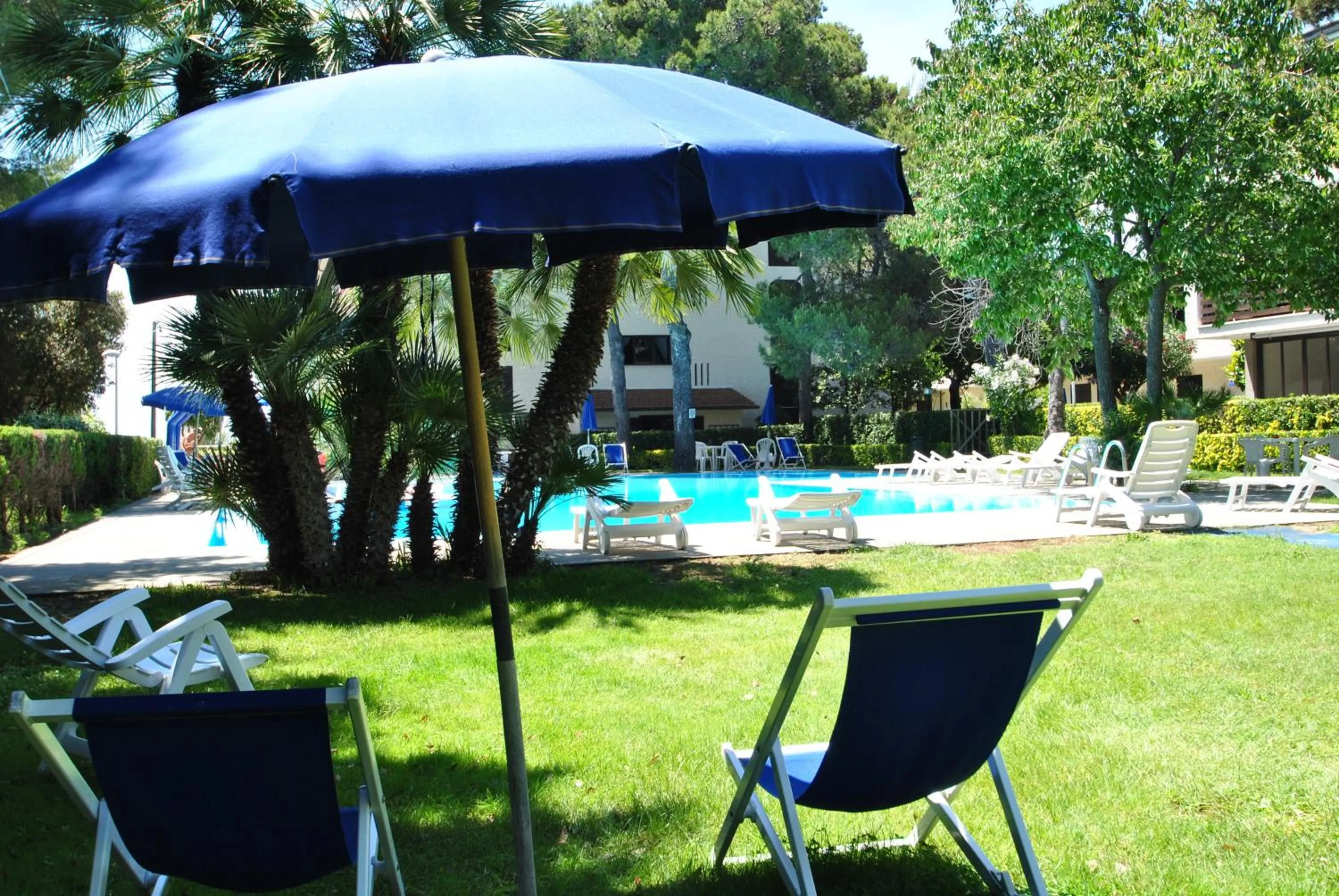 Swimming pool in Fattoria Nel Parco