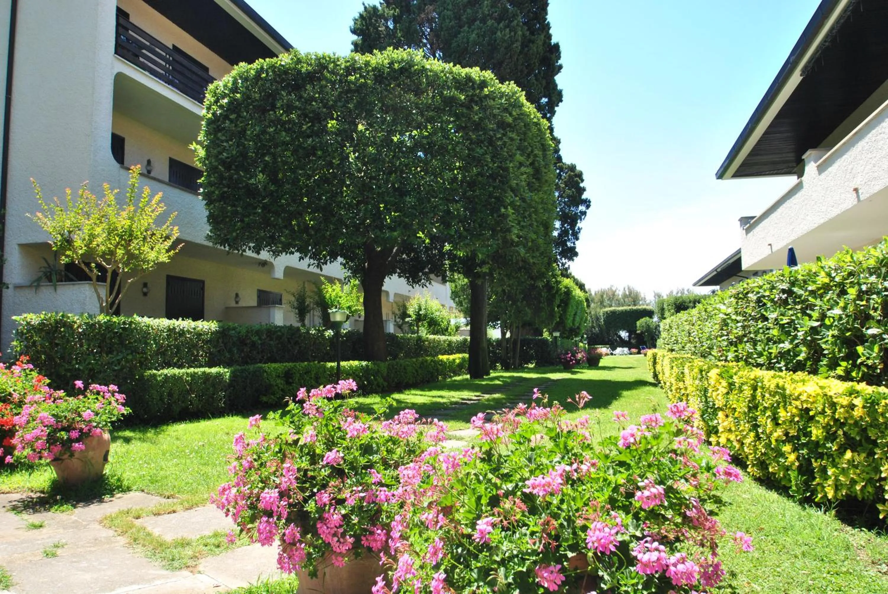 Garden in Fattoria Nel Parco