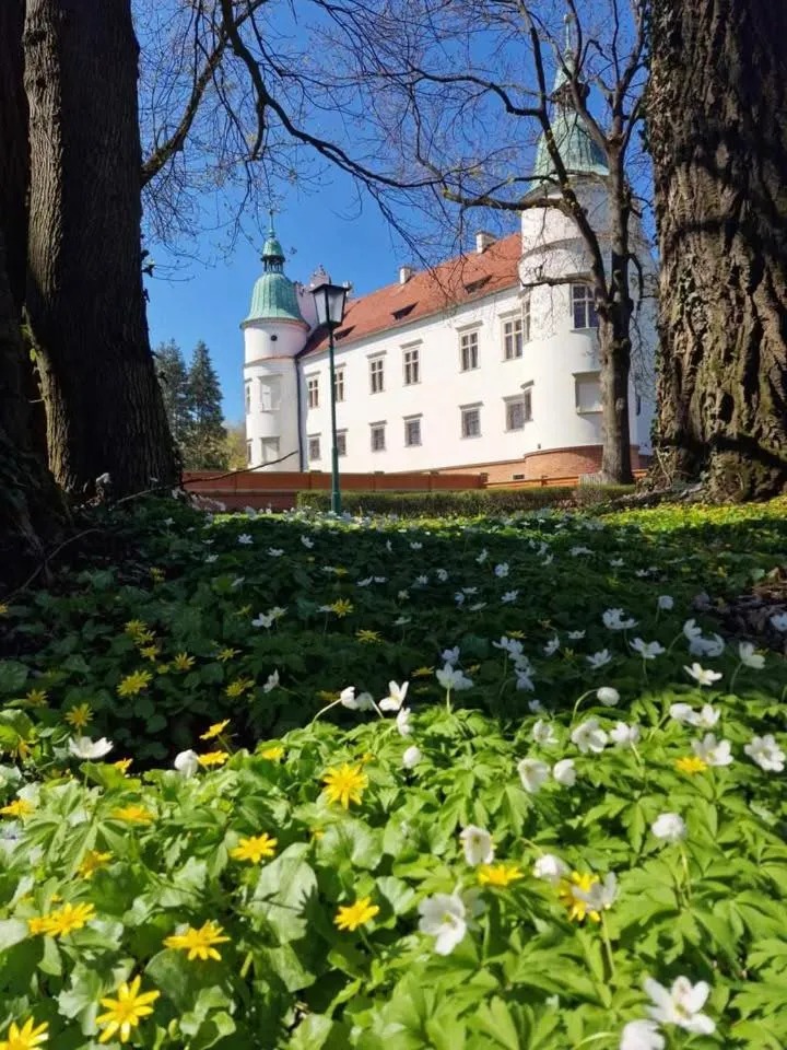 Property building in Zamek w Baranowie Sandomierskim