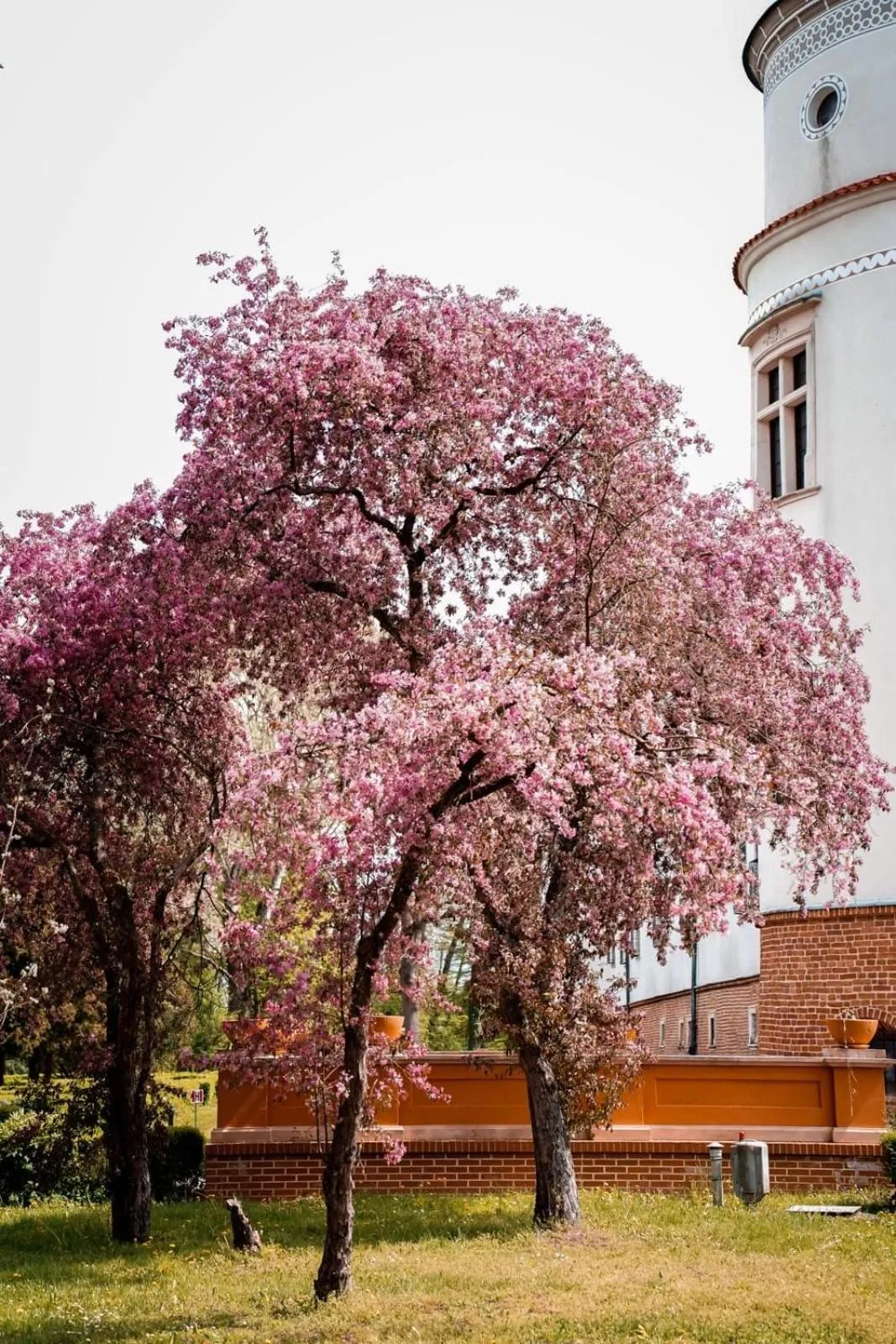 Spring in Zamek w Baranowie Sandomierskim