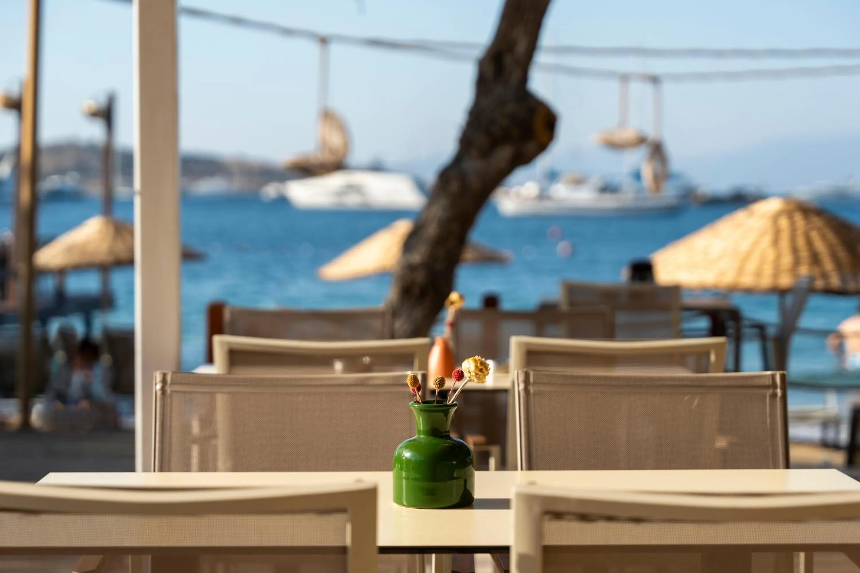 Day in Daphnis Hotel