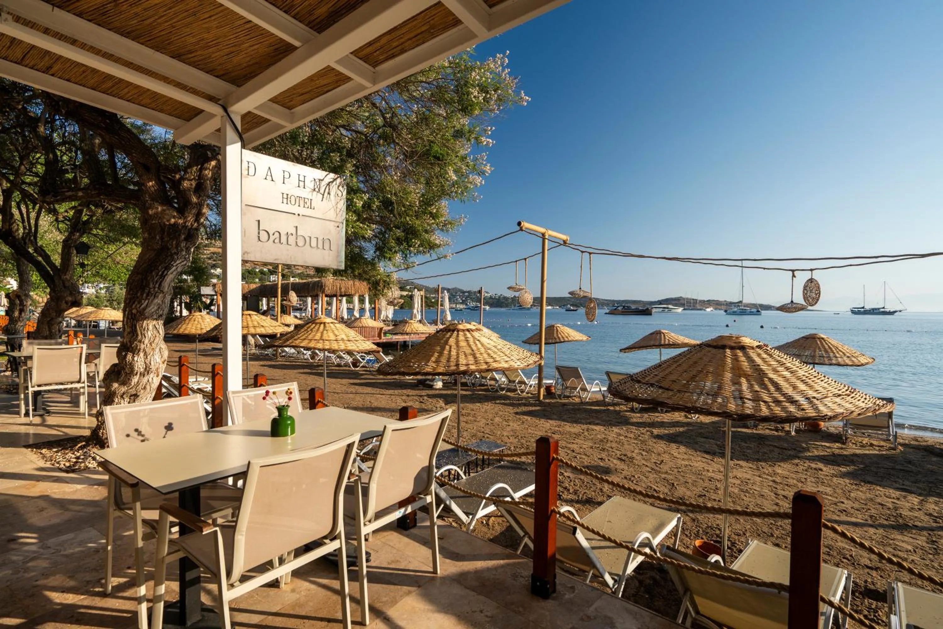 Restaurant/places to eat in Daphnis Hotel