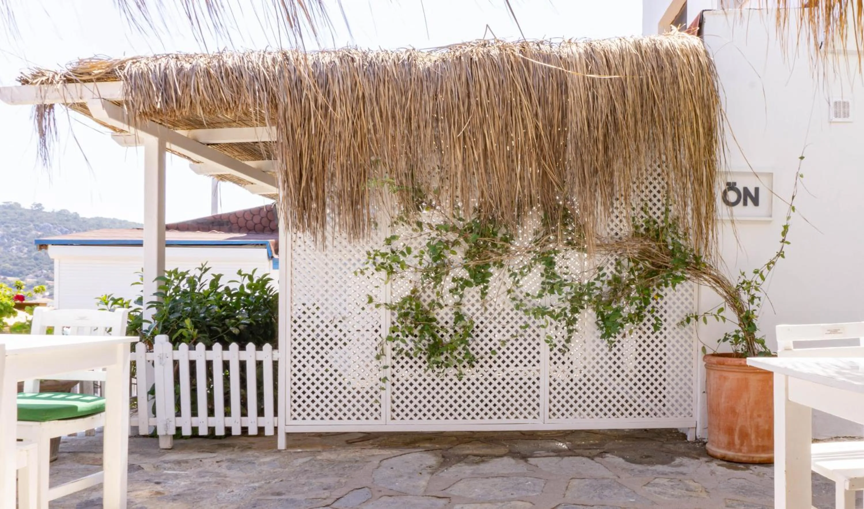 Patio in Daphnis Hotel