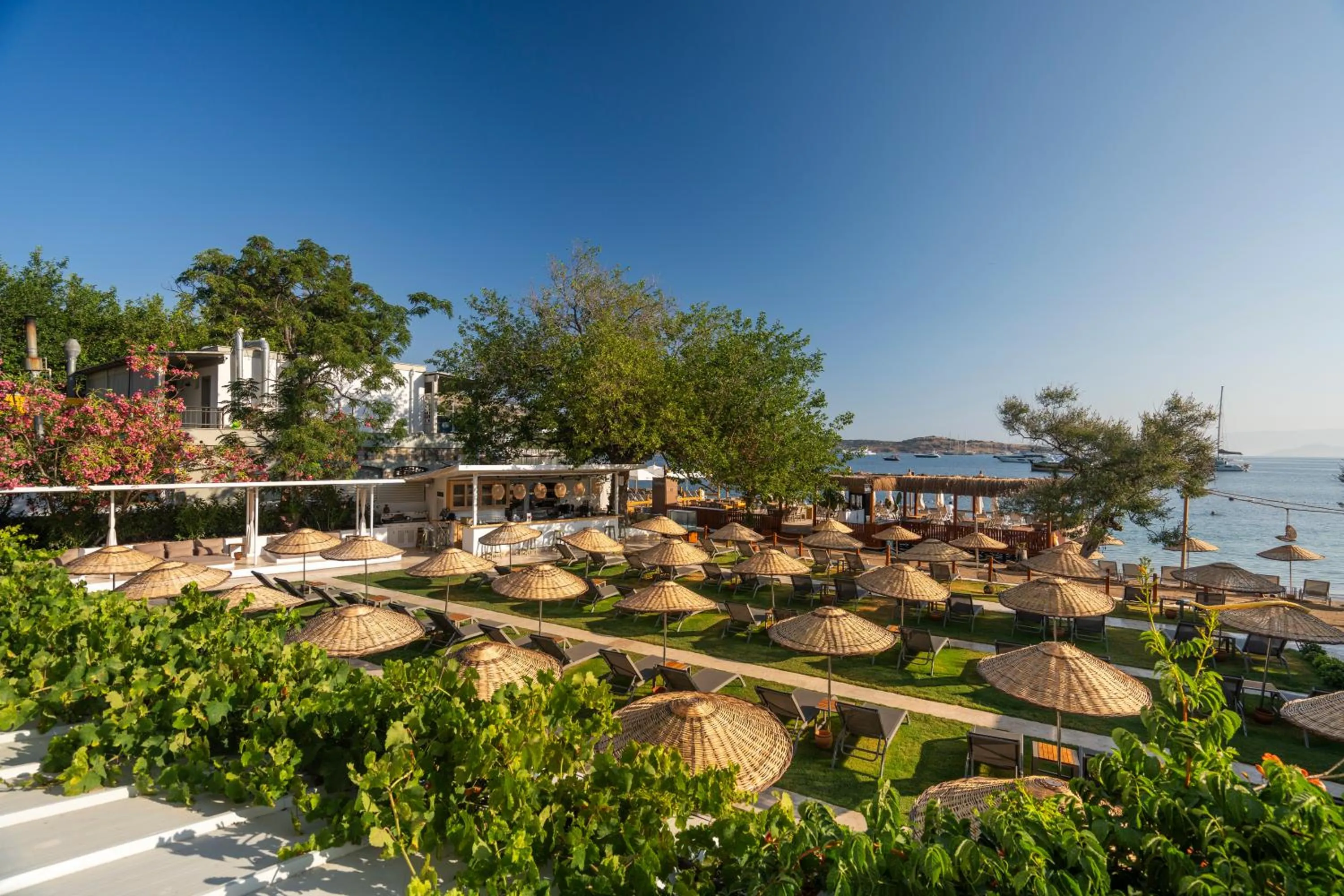 Garden in Daphnis Hotel