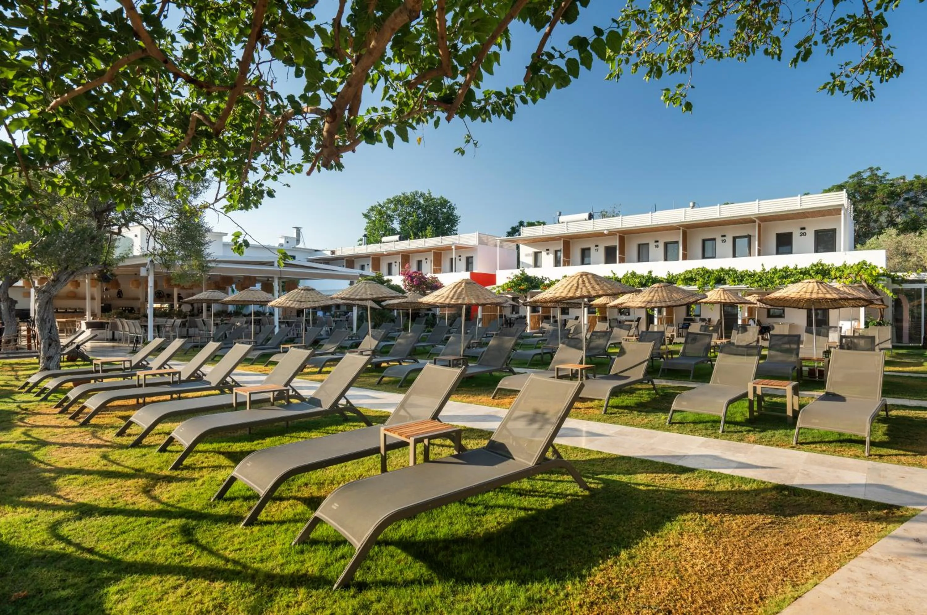 Garden in Daphnis Hotel