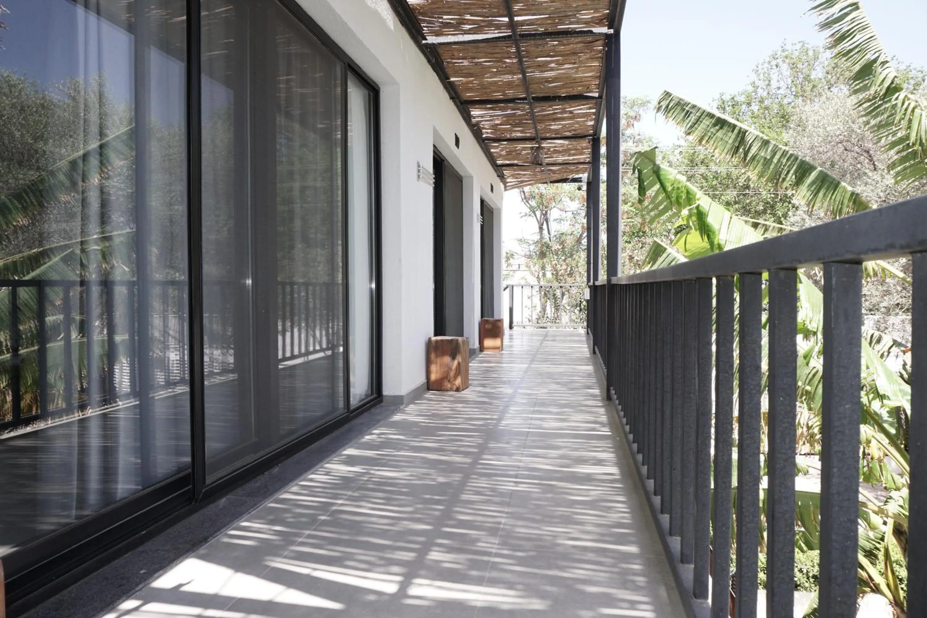 Balcony/Terrace in Daphnis Hotel