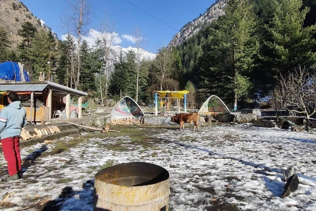 Natural landscape in Flipsyde Retreat