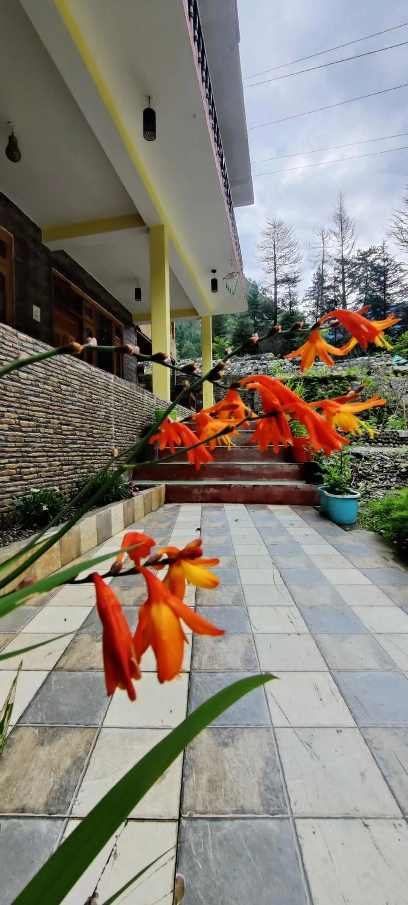 Garden in Flipsyde Retreat