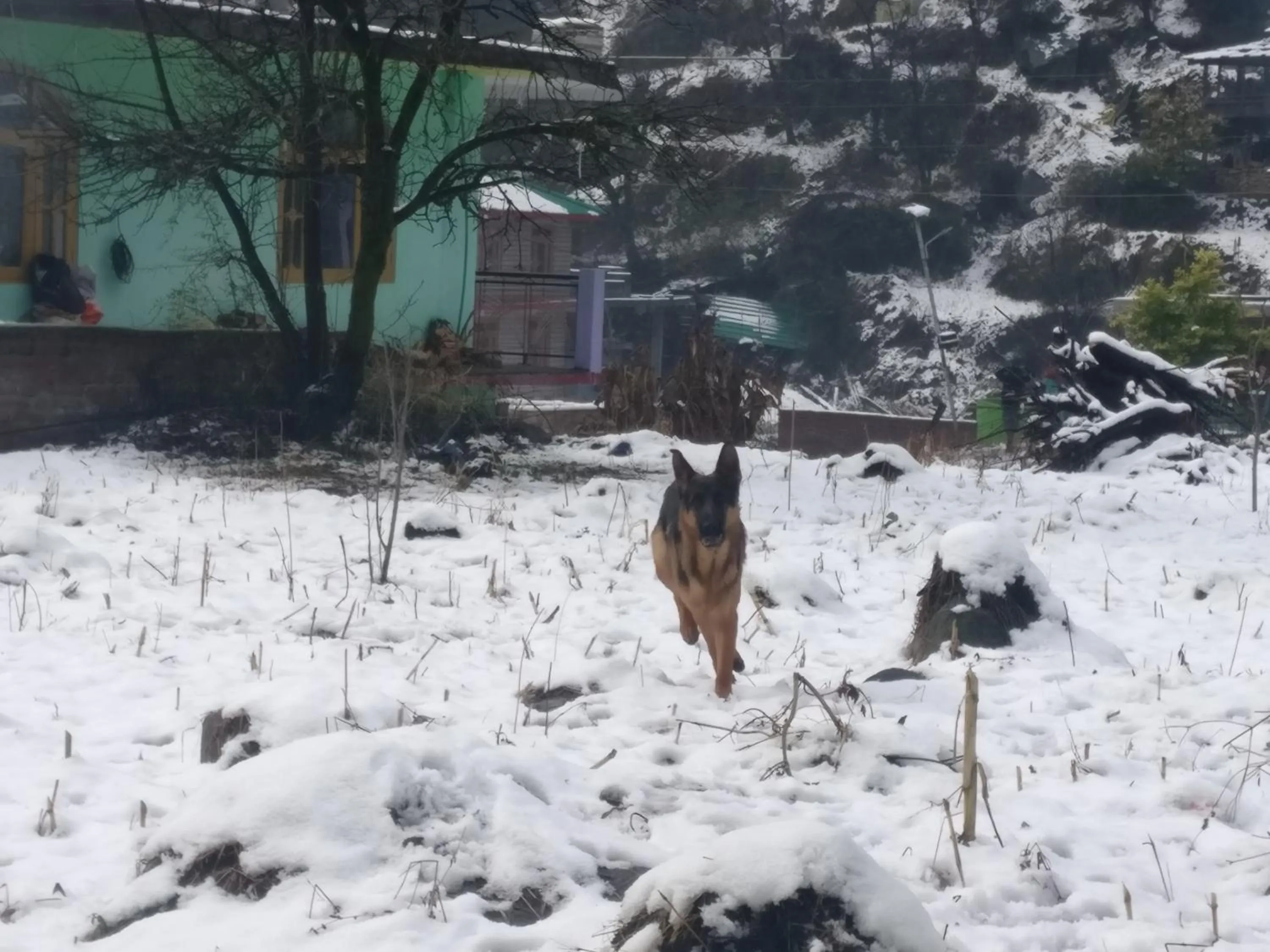 Natural landscape in Flipsyde Retreat