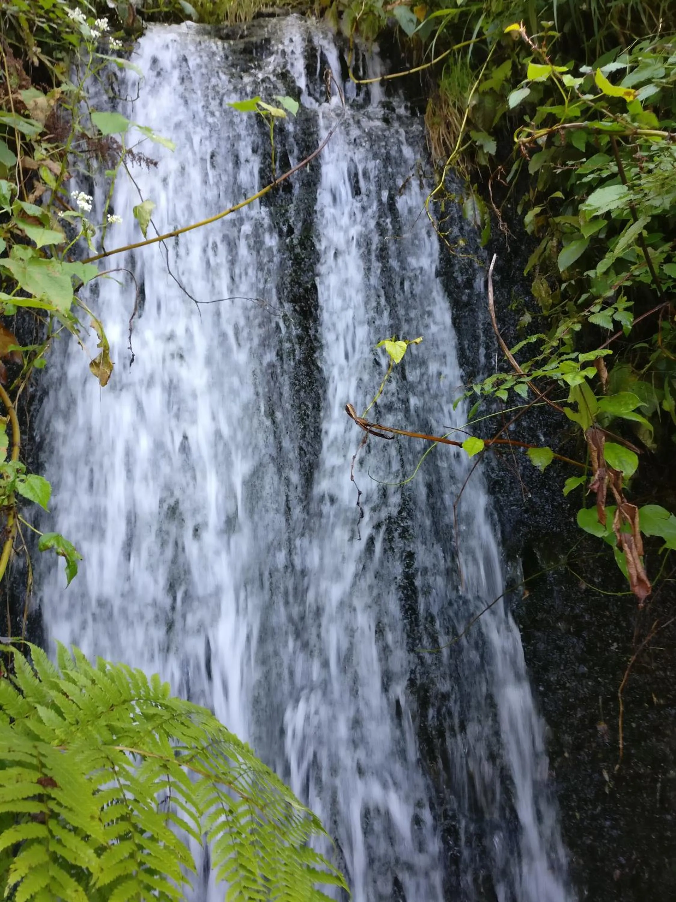 Nearby landmark in Flipsyde Retreat
