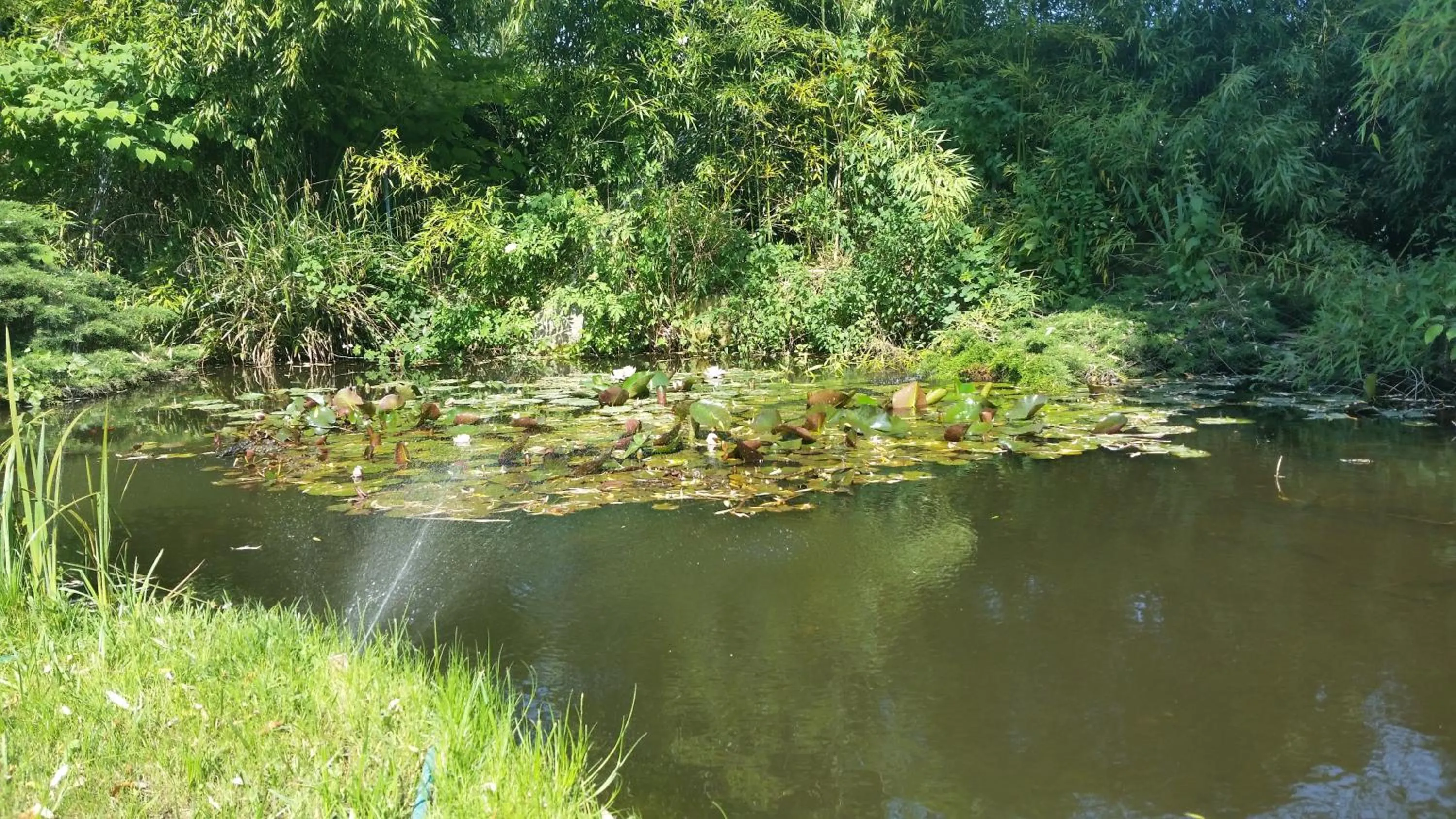 Garden, Natural Landscape in Kyriad Bourg En Bresse