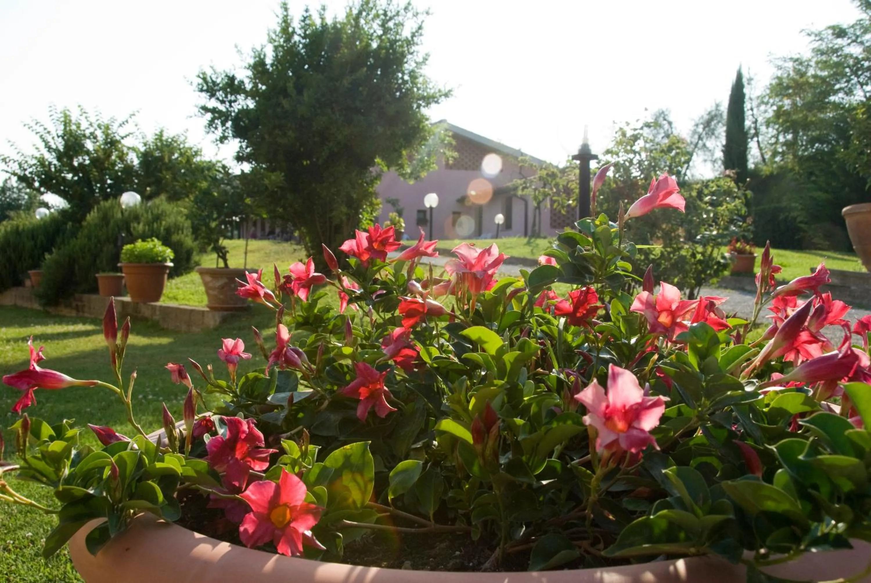 Garden in Agriturismo Marrucola