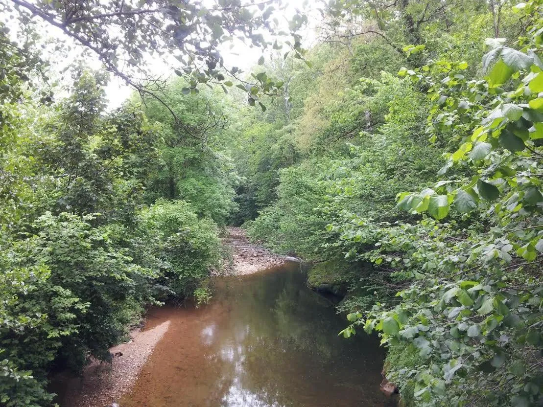 Area and facilities in Hotel Rural El Espino
