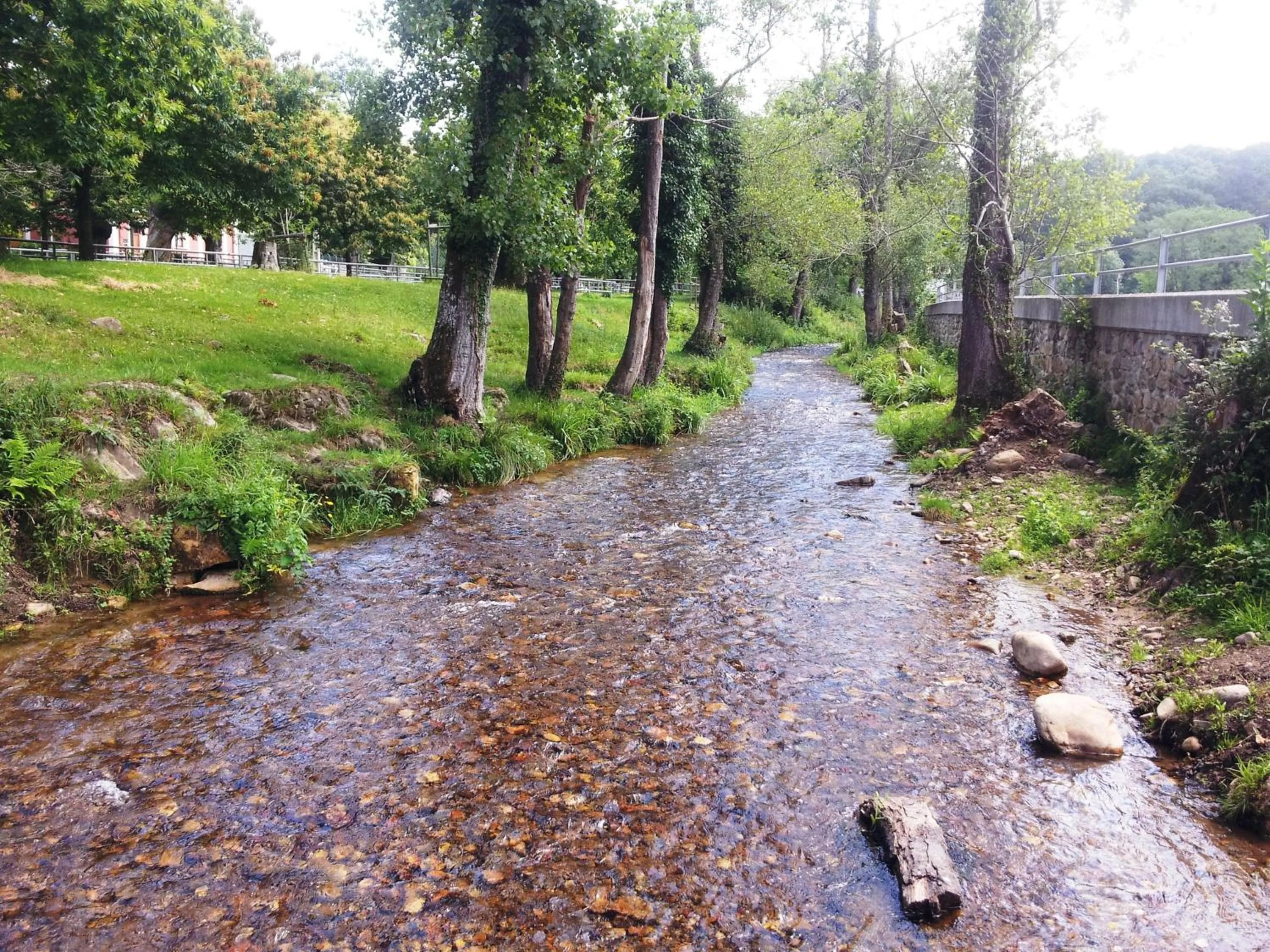 Area and facilities in Hotel Rural El Espino