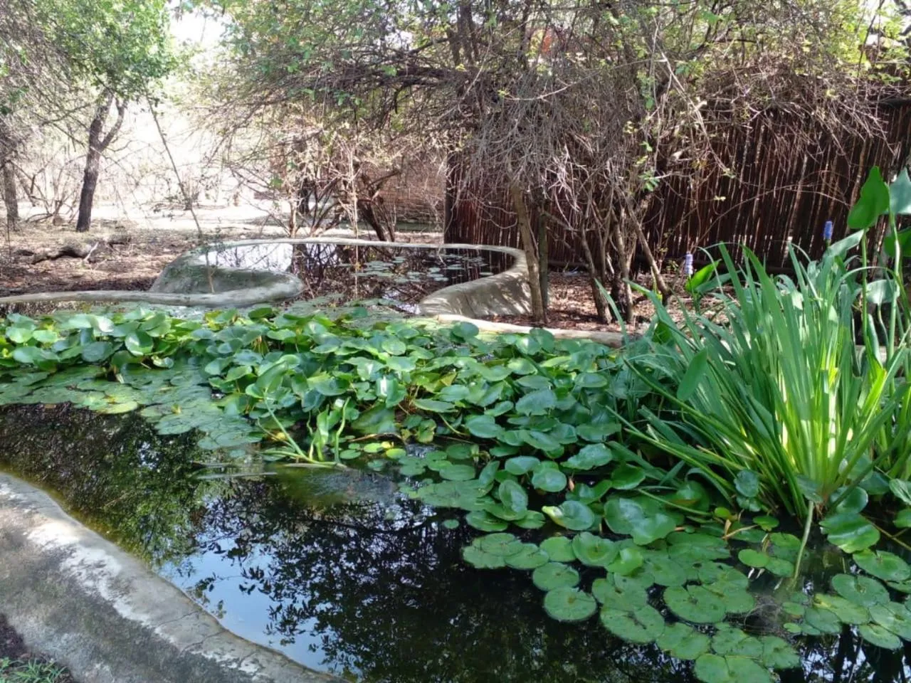 Garden view in HomeBase Kruger