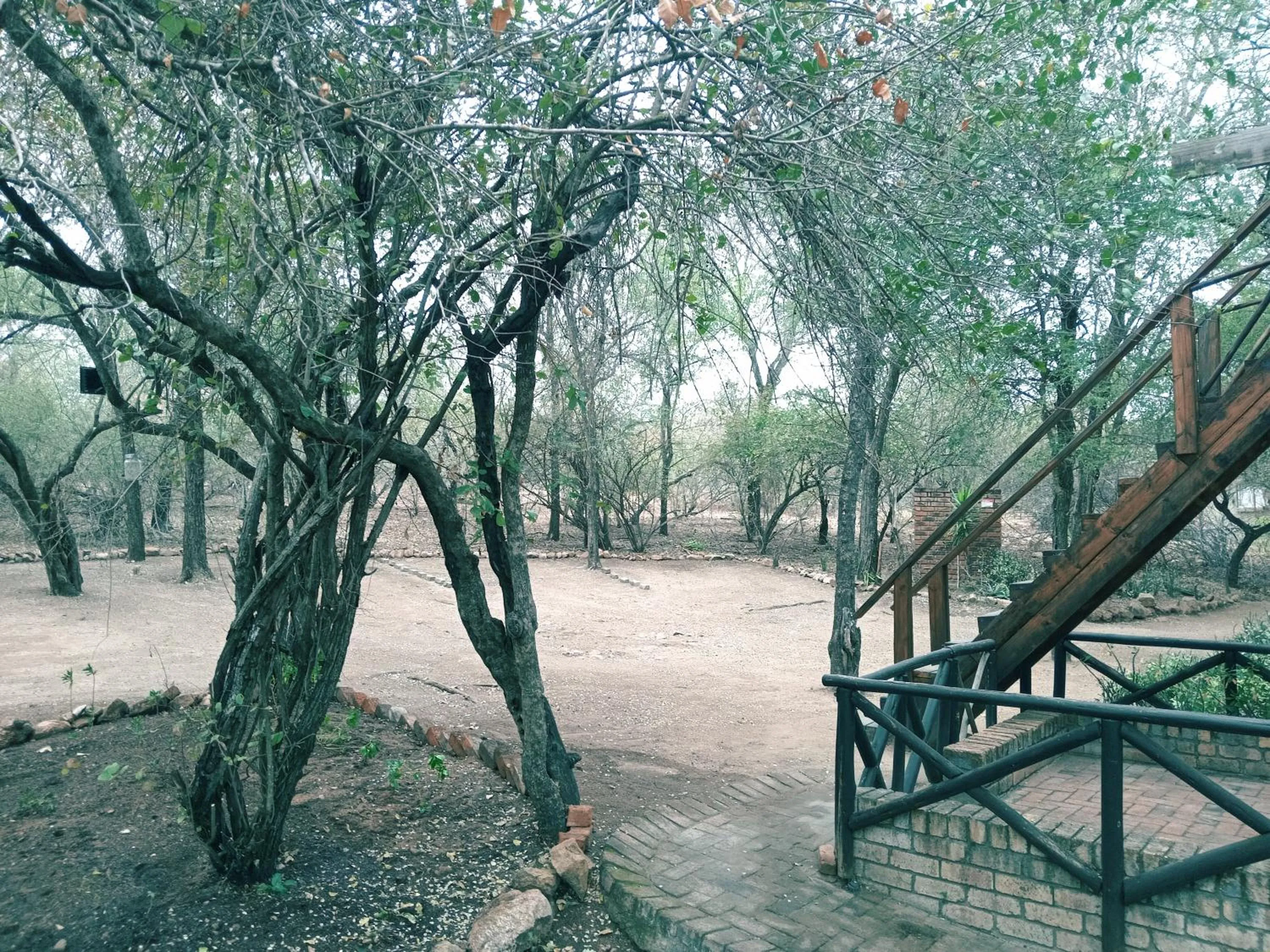 View (from property/room) in HomeBase Kruger