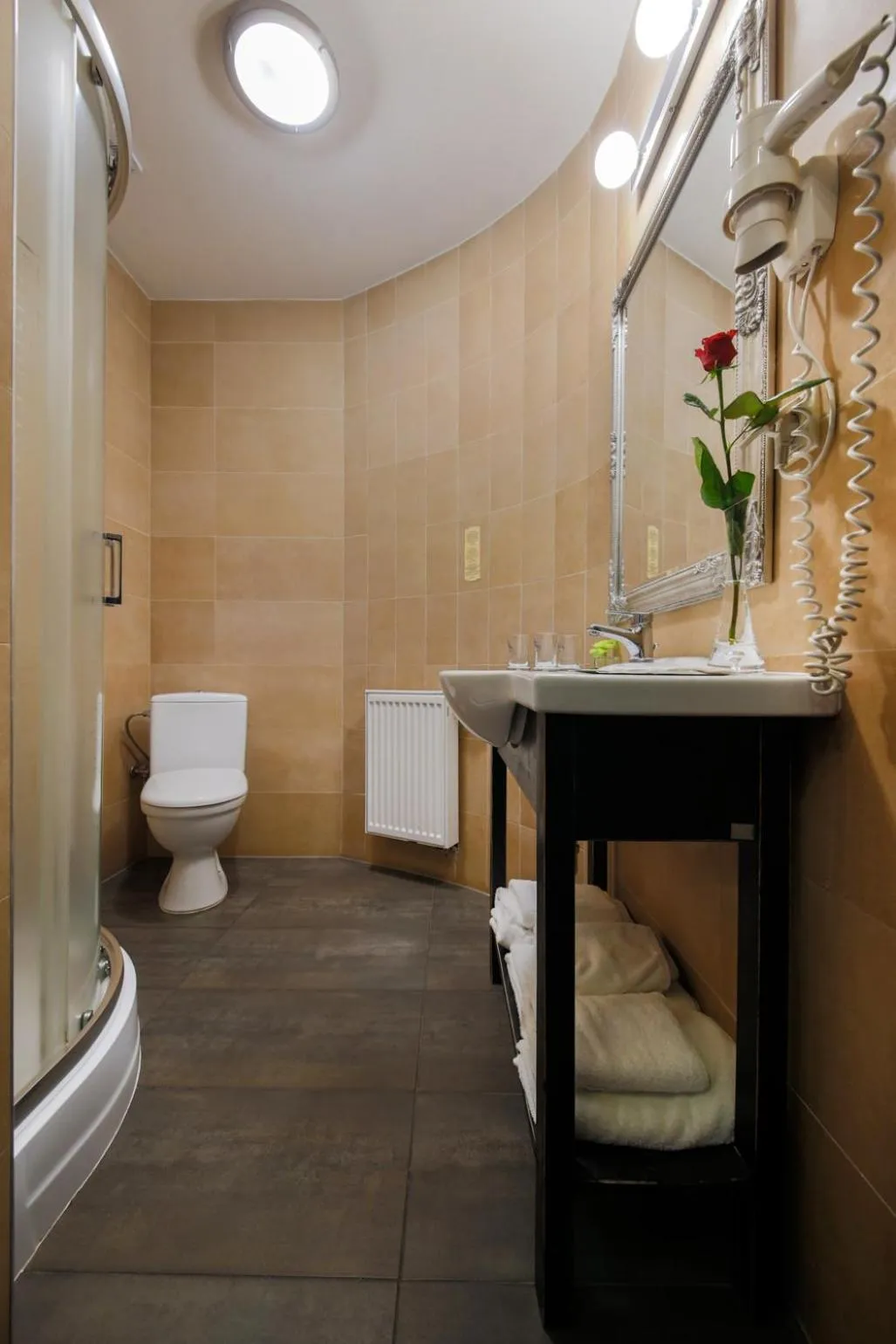 Shower in Hotel Kasztel