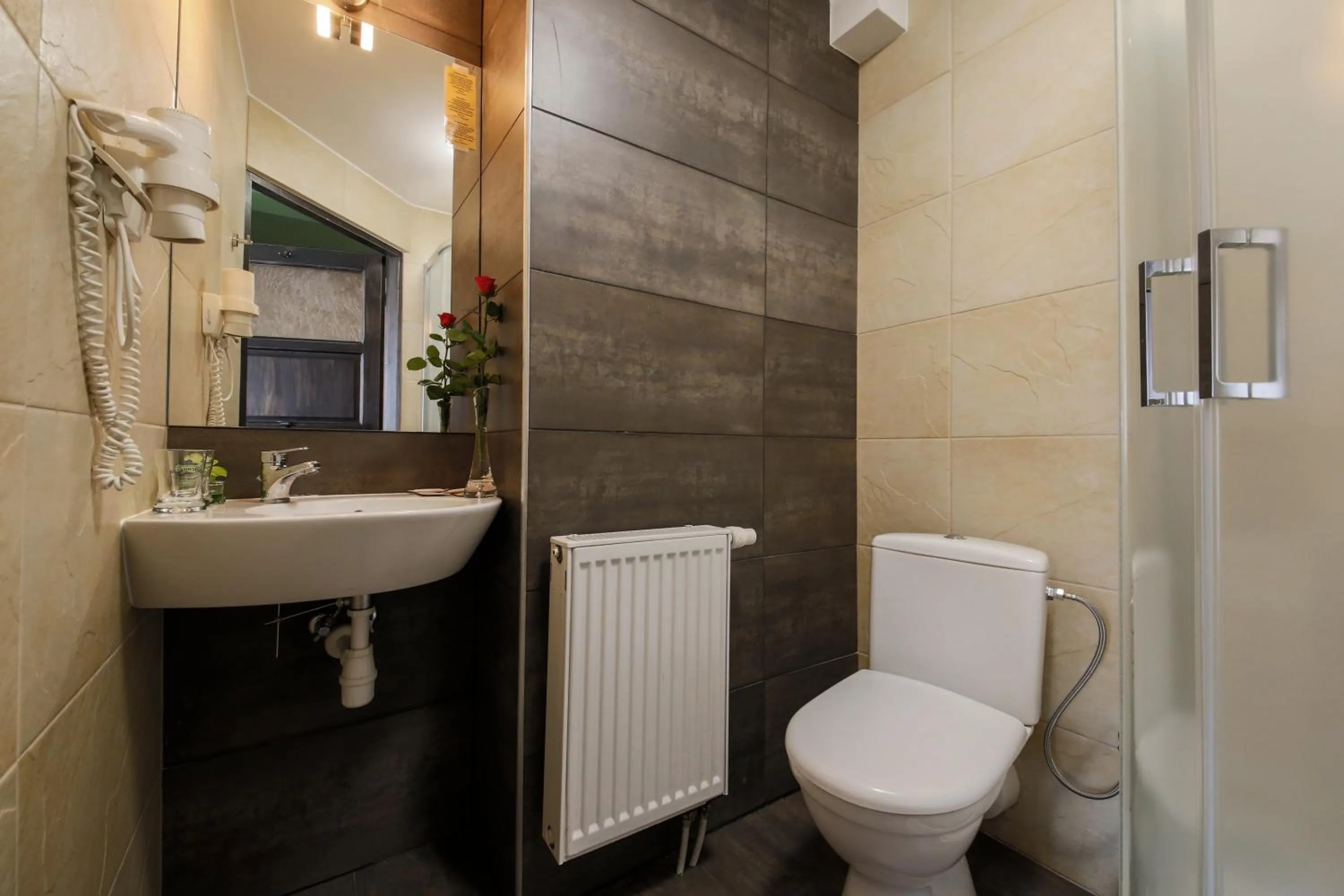 Toilet in Hotel Kasztel