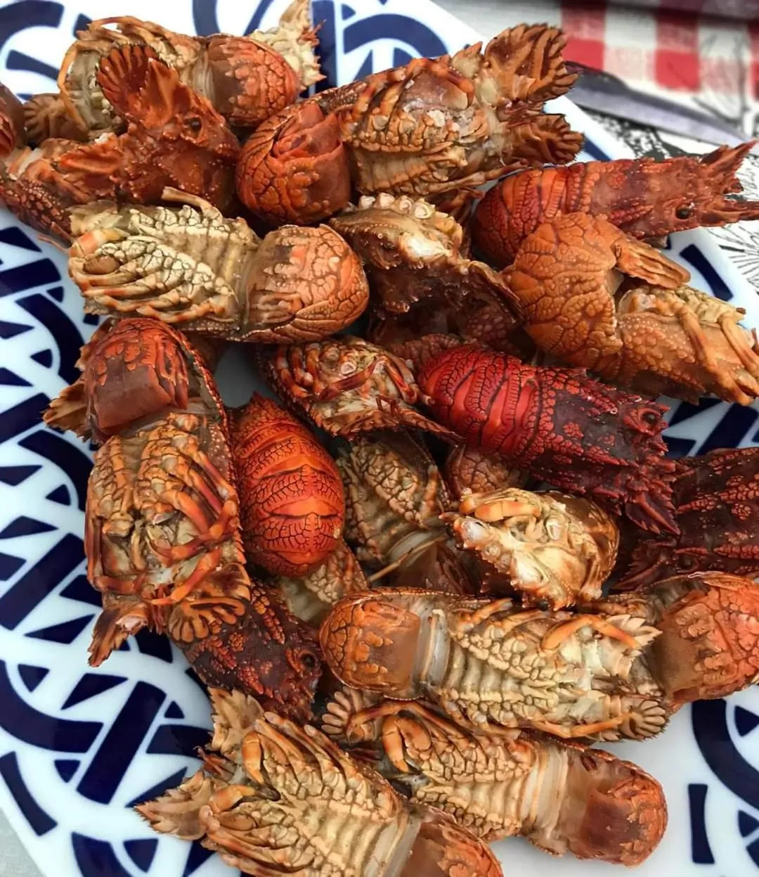 Hotel Restaurante el Fornon