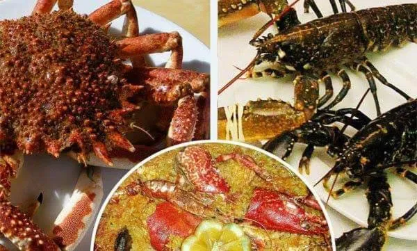 Food in Hotel Restaurante el Fornon