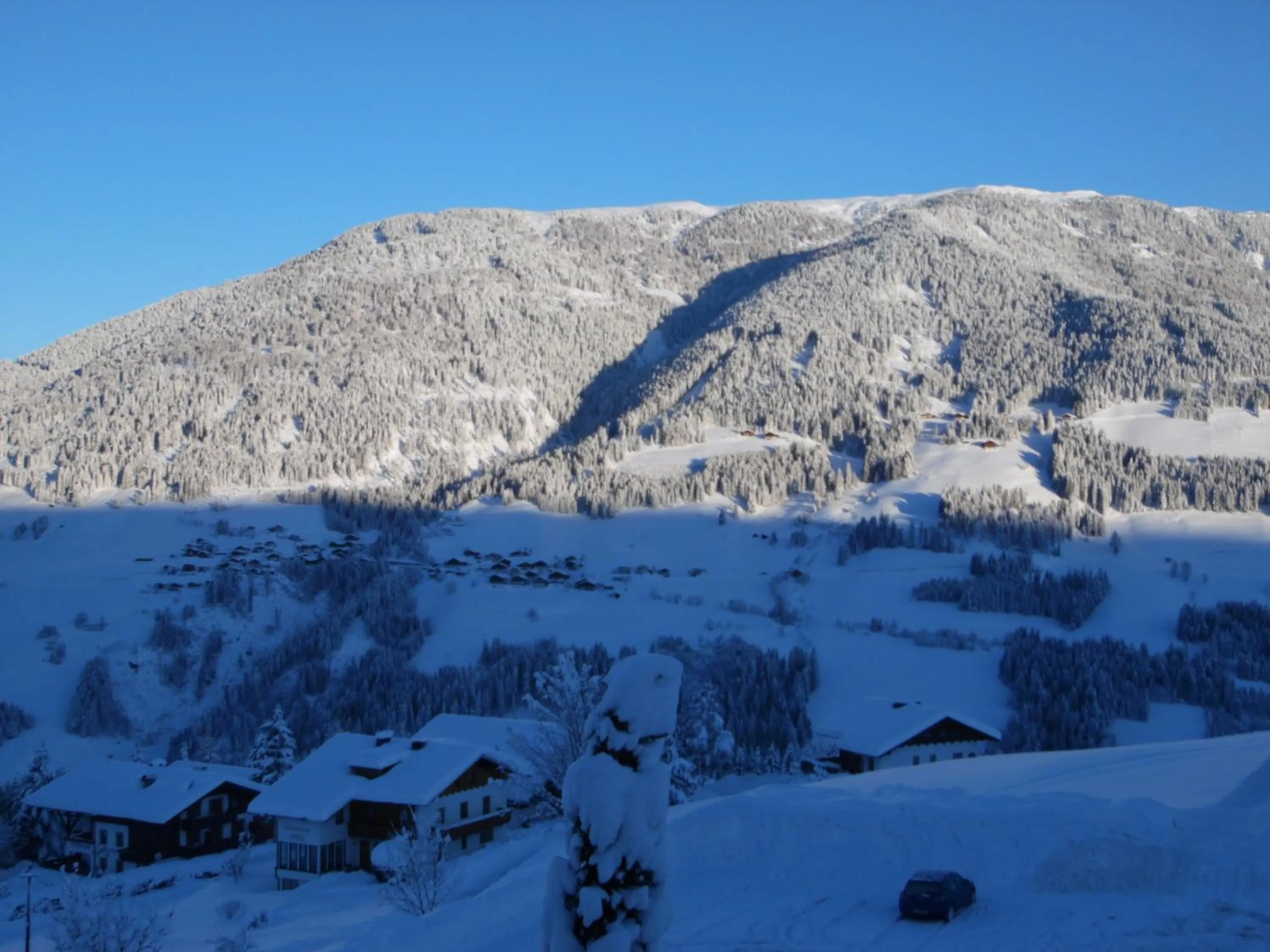 Natural landscape in Bella Vista Lodge