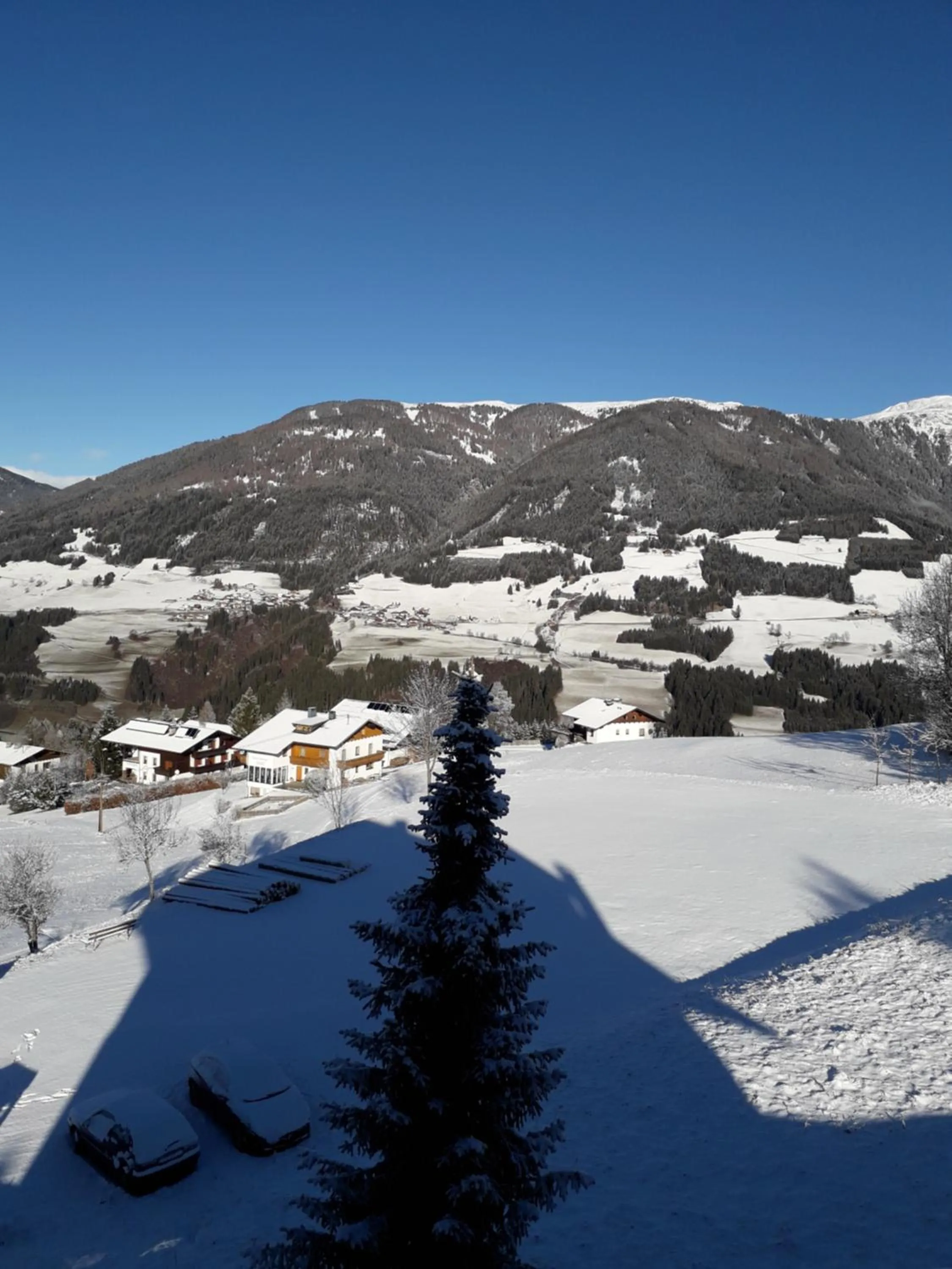 Natural landscape in Bella Vista Lodge