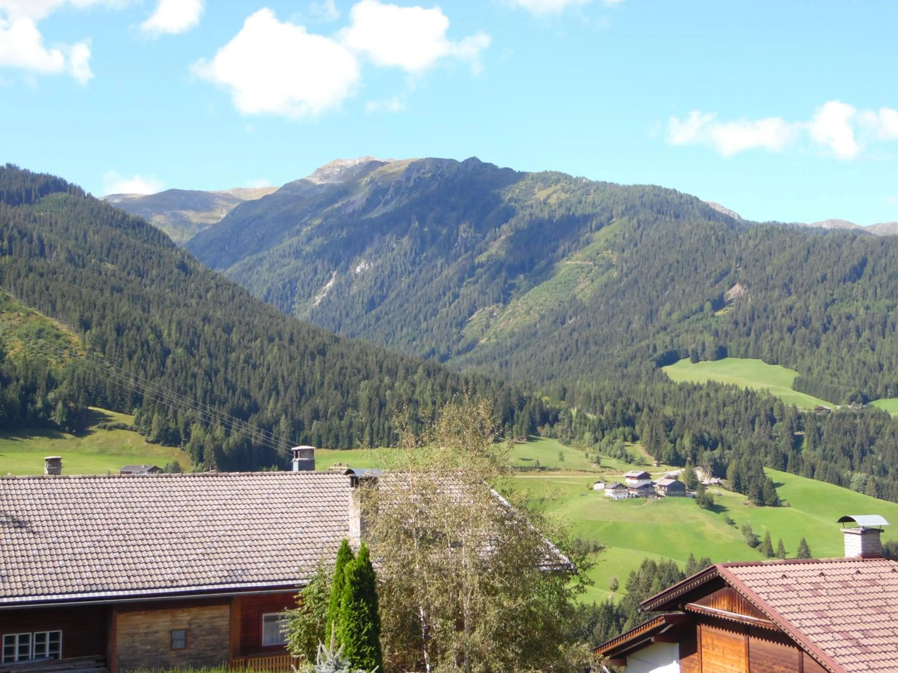 Natural landscape in Bella Vista Lodge