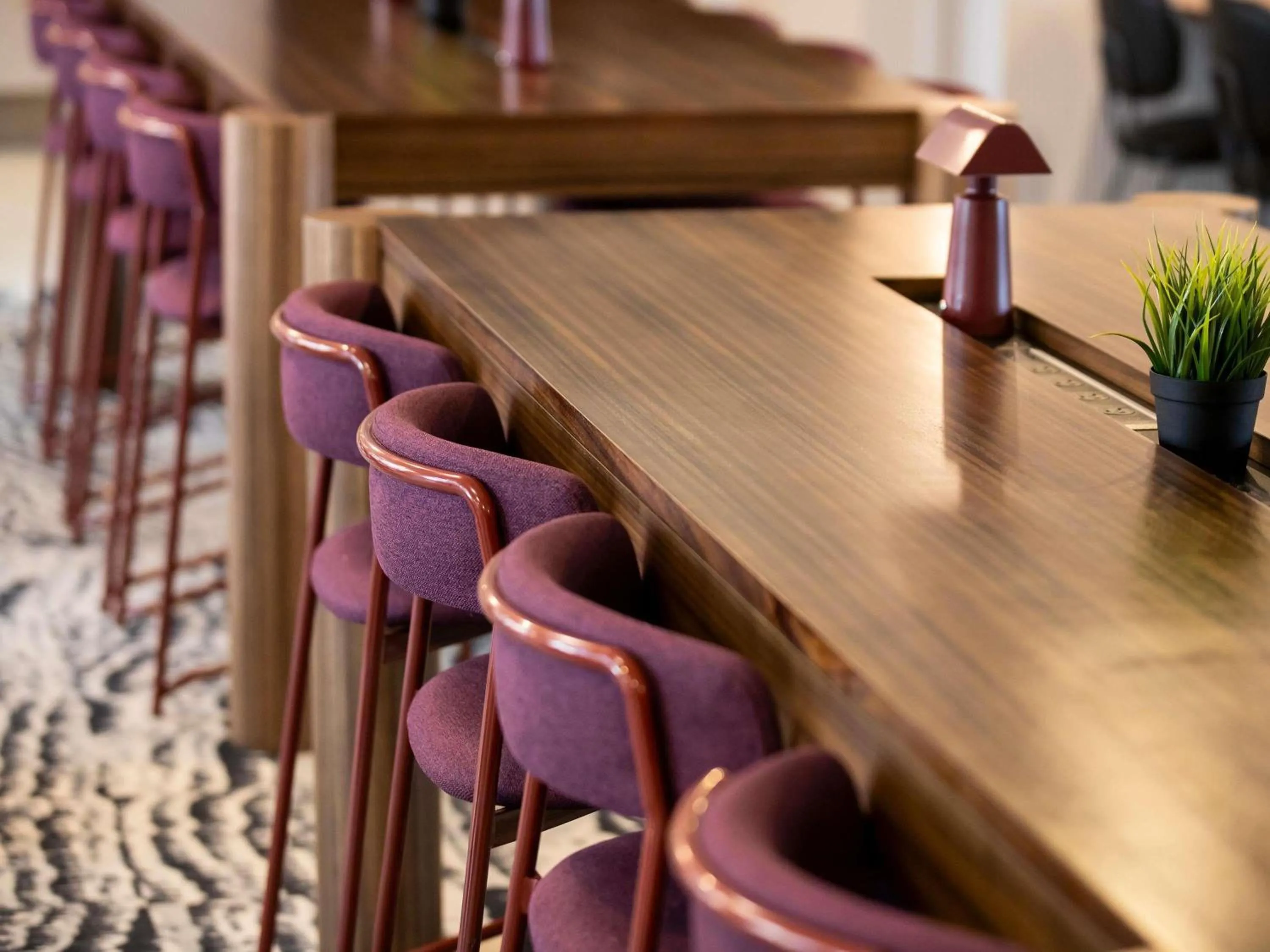 Restaurant/places to eat in Mercure Sydney Manly Warringah