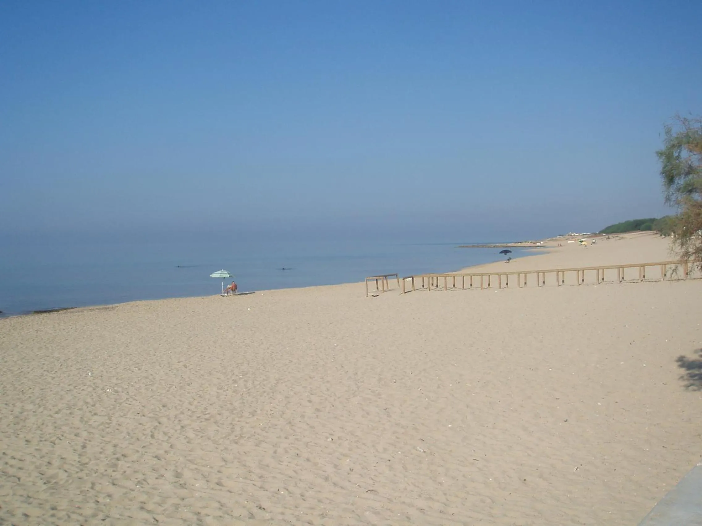 Natural landscape in Hotel Costa D'Oro