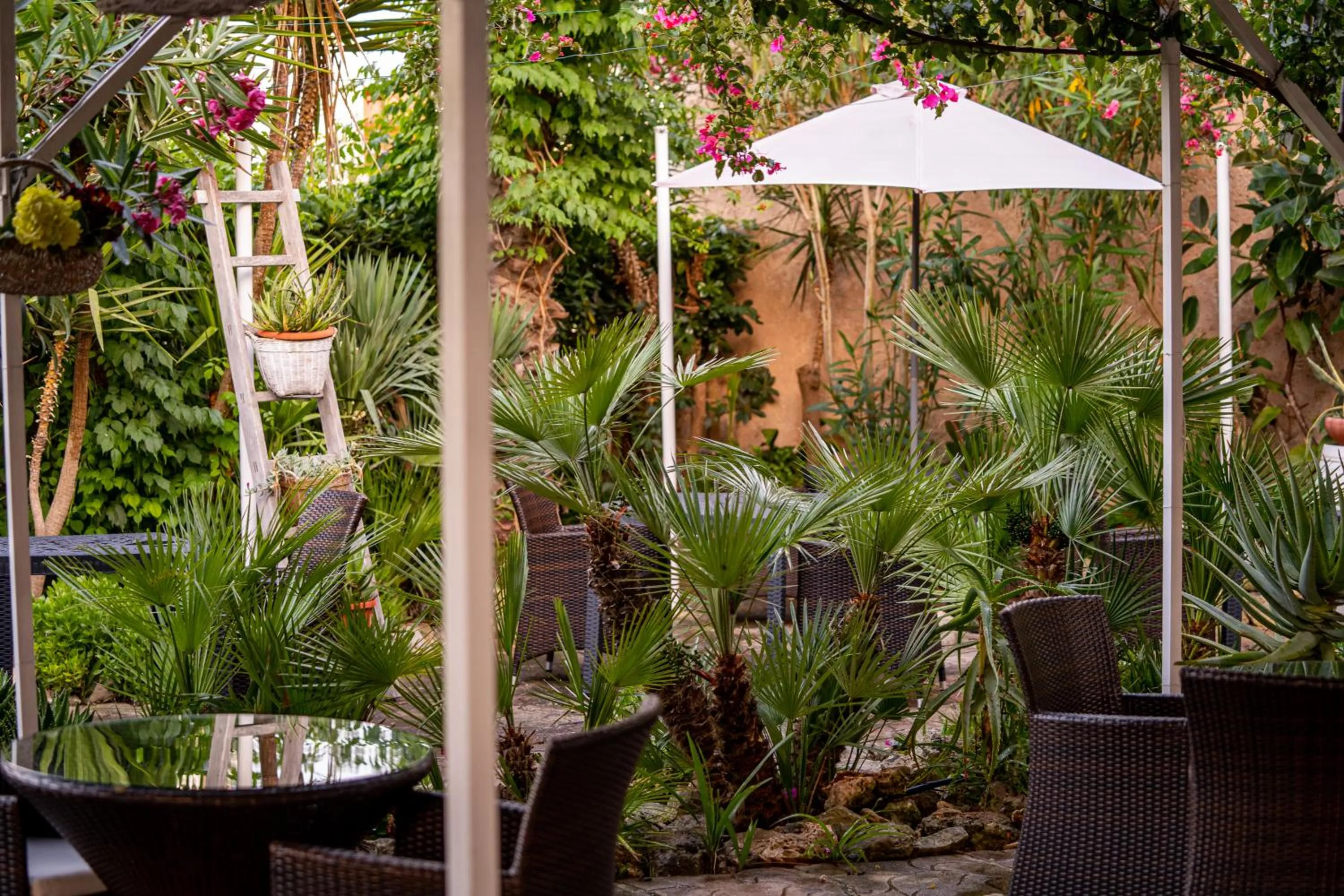 Garden in Hotel Costa D'Oro