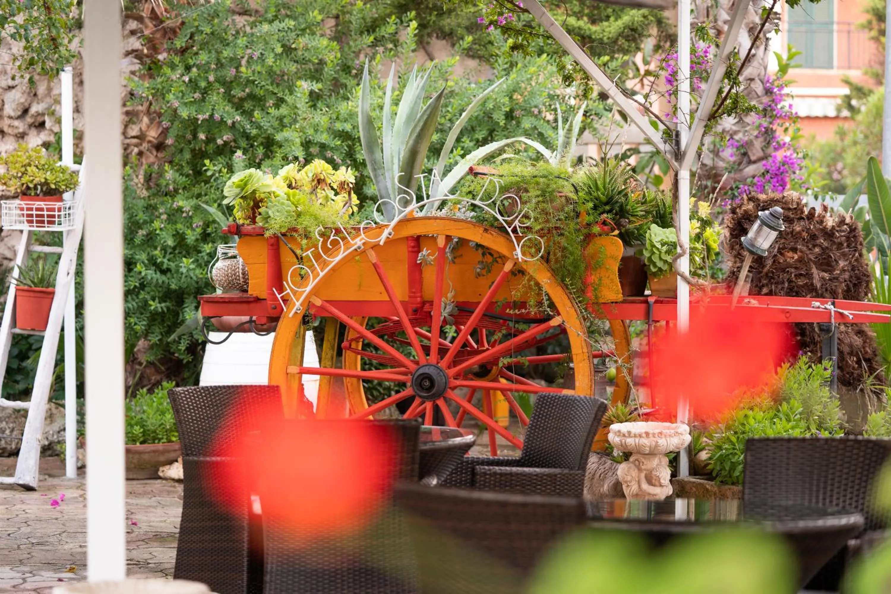 Garden in Hotel Costa D'Oro