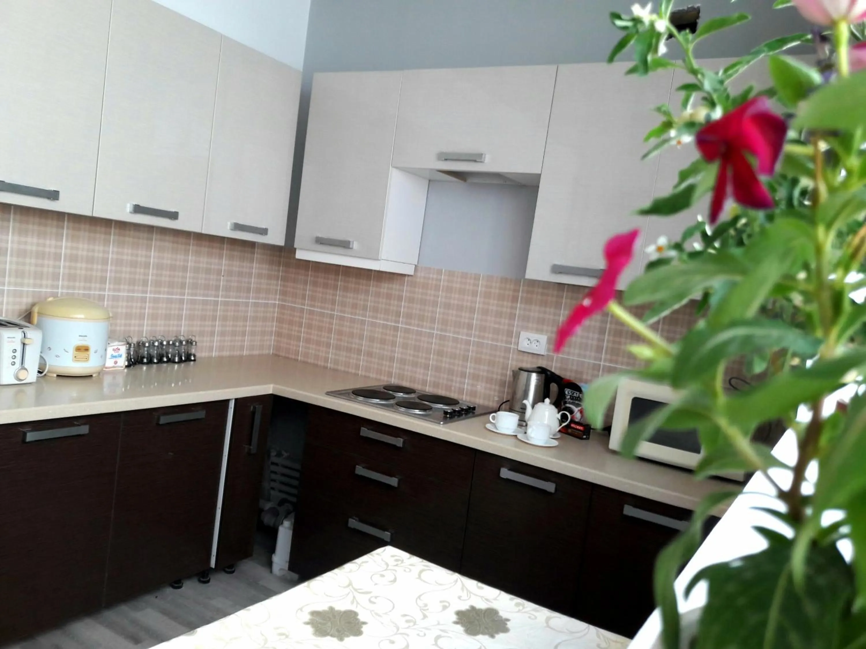 Communal kitchen in Jules Verne Hostel