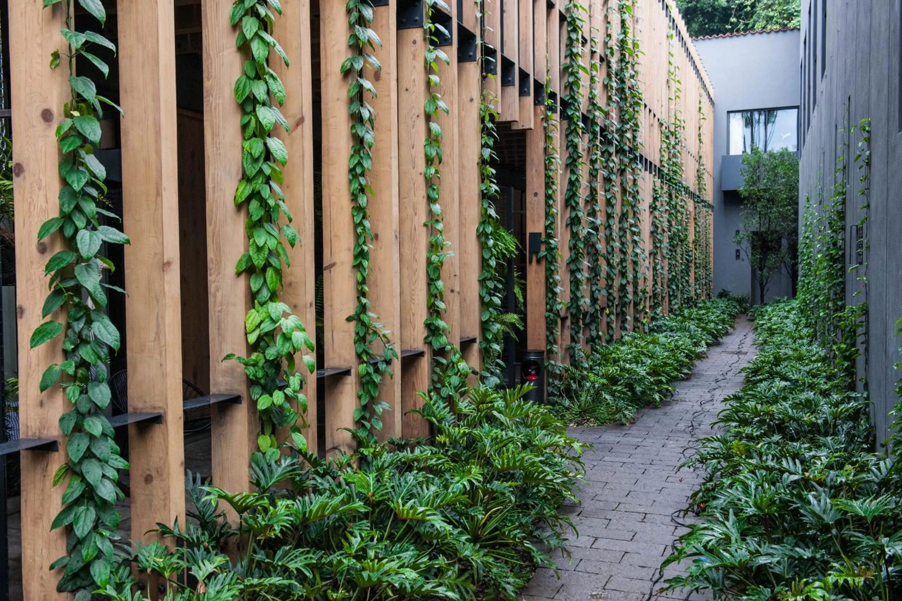 Inner courtyard view in Cinco Rodavento