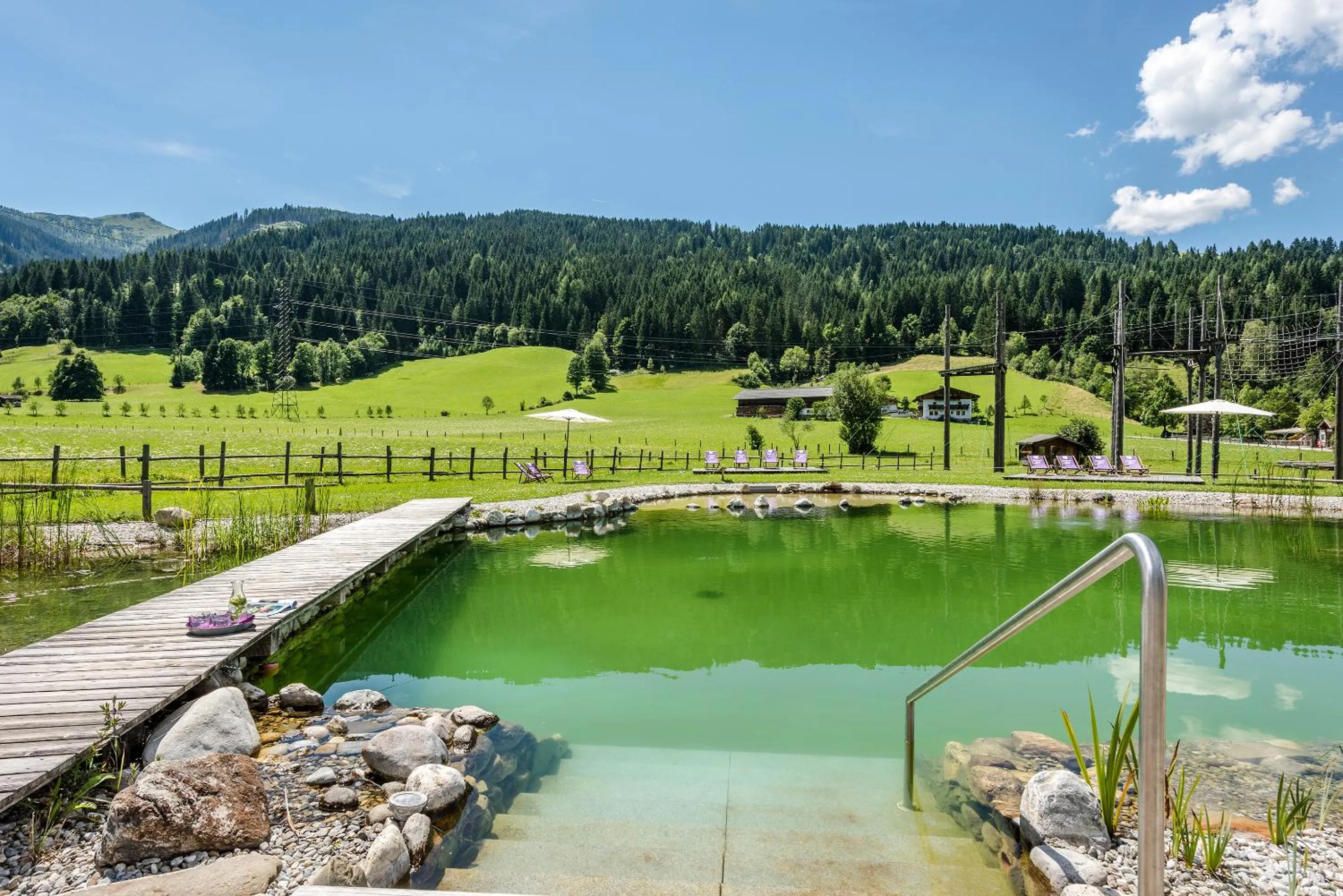 Swimming pool in almlust - hotel, apartments, chalets