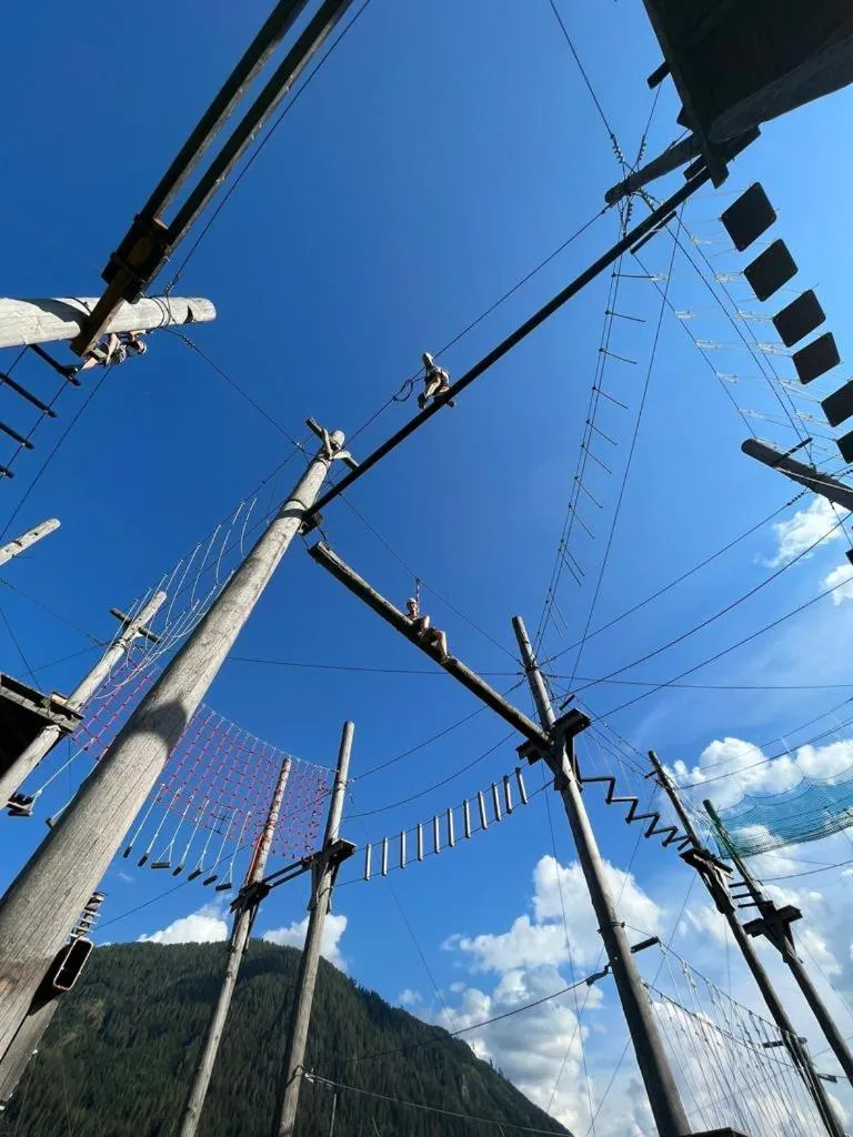 almlust - hotel, apartments, chalets