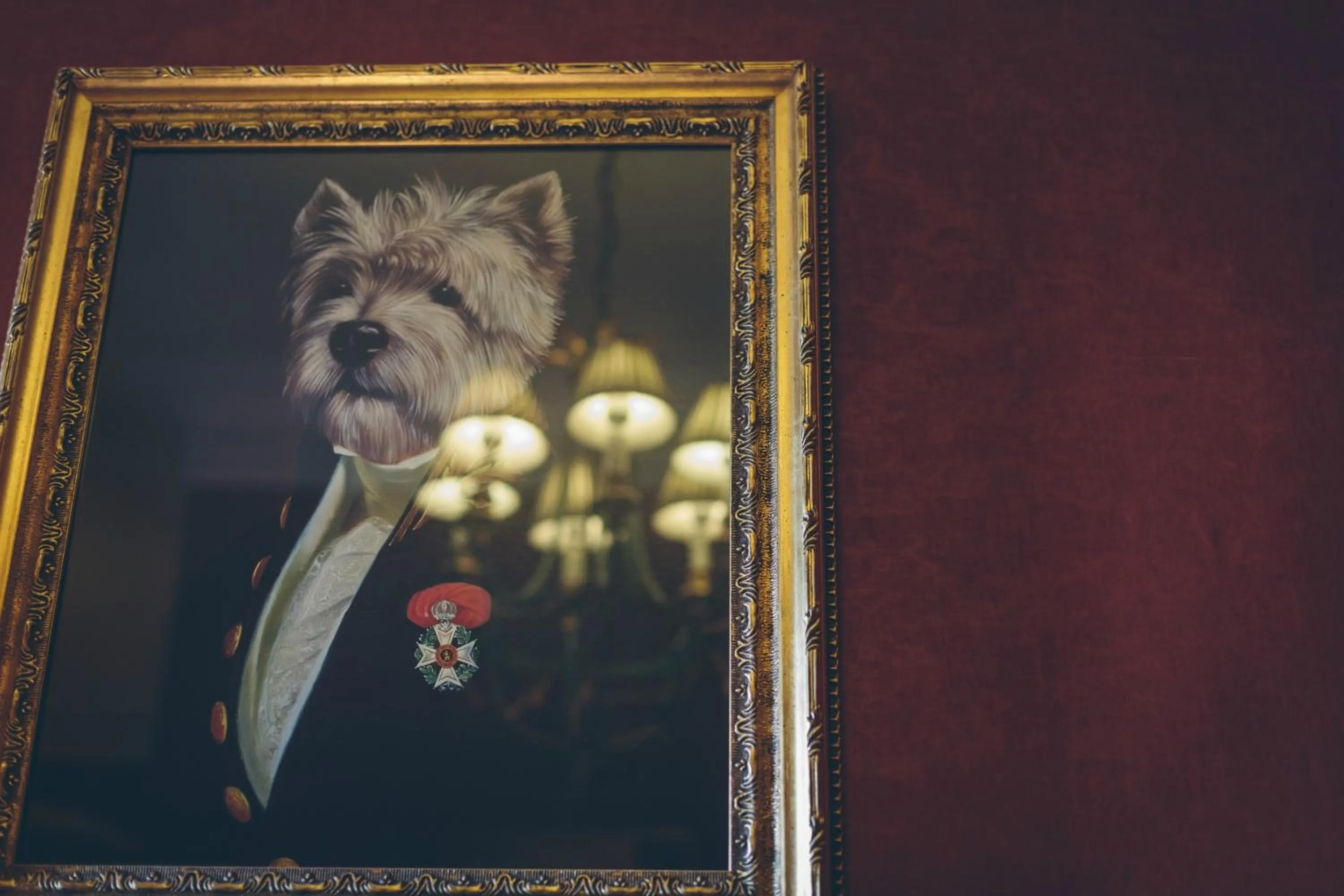 Lounge or bar in Rowton Castle