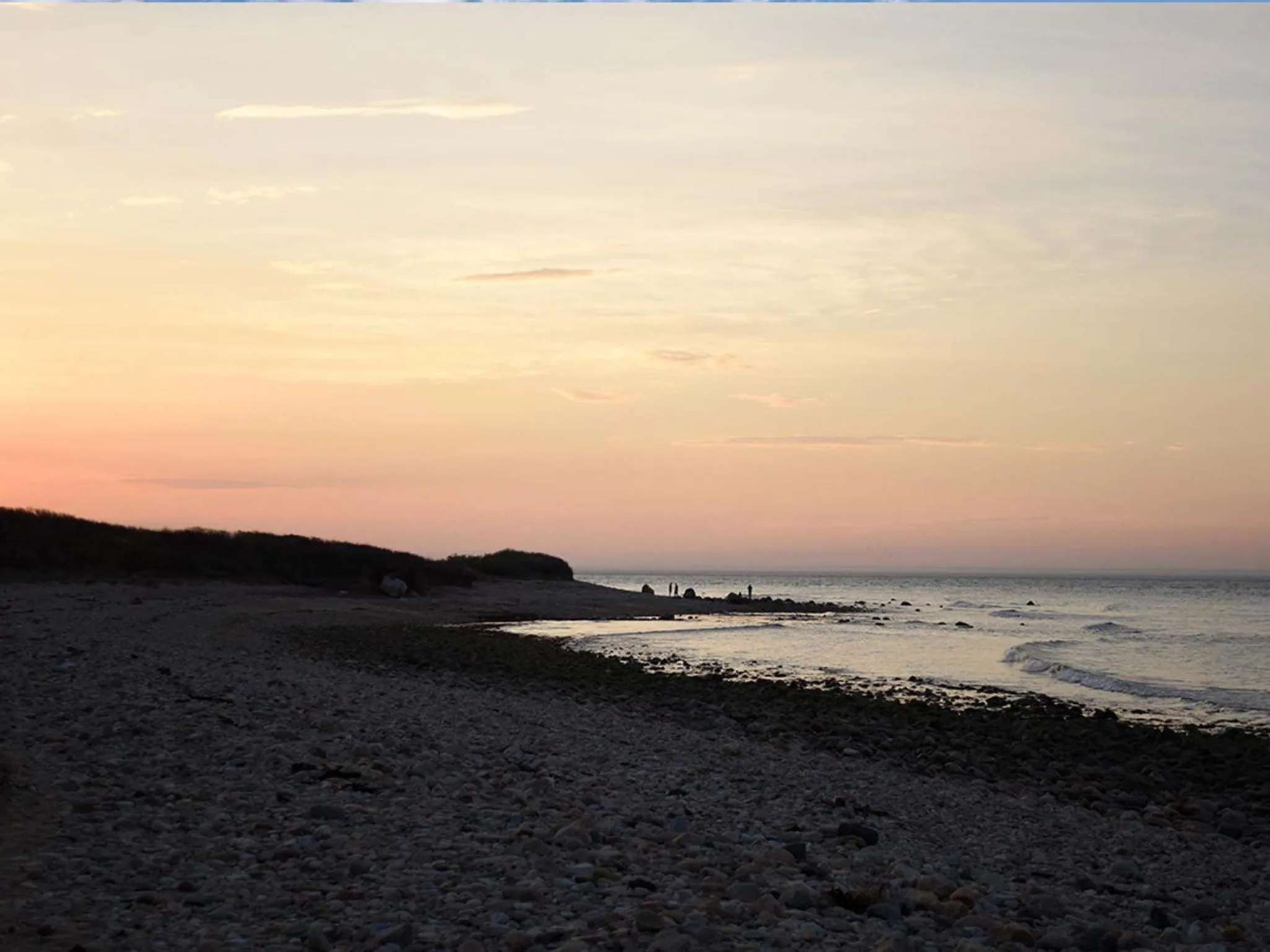 Natural landscape in A Wave Inn - Montauk